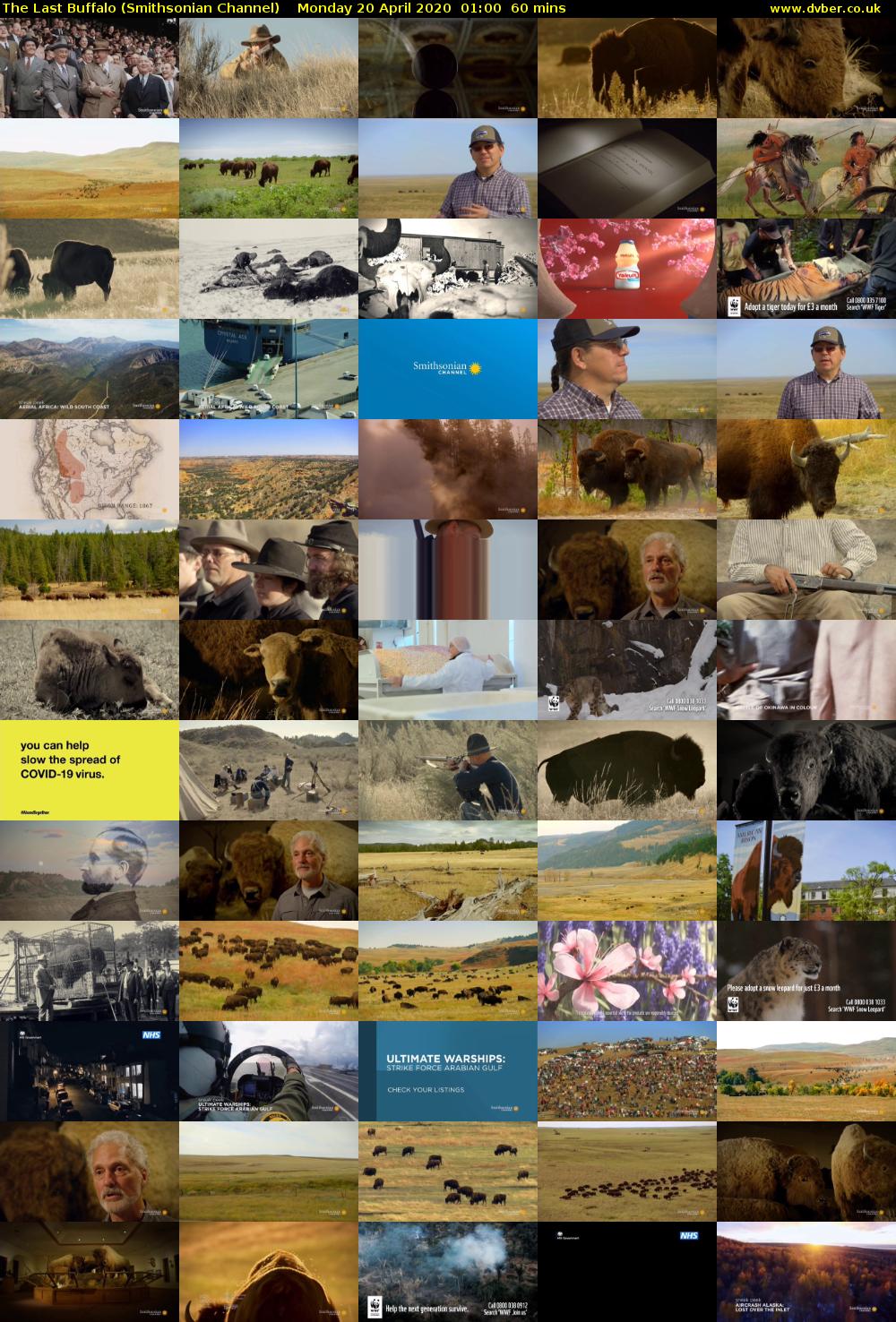The Last Buffalo (Smithsonian Channel) Monday 20 April 2020 01:00 - 02:00