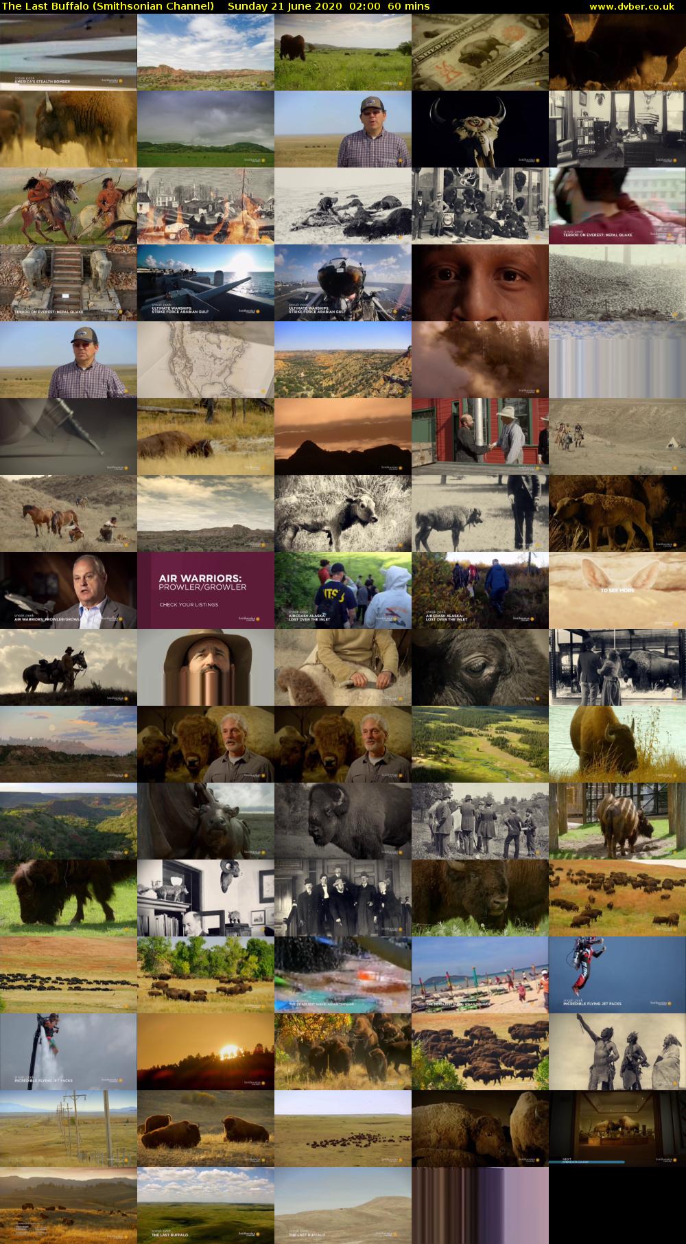 The Last Buffalo (Smithsonian Channel) Sunday 21 June 2020 02:00 - 03:00
