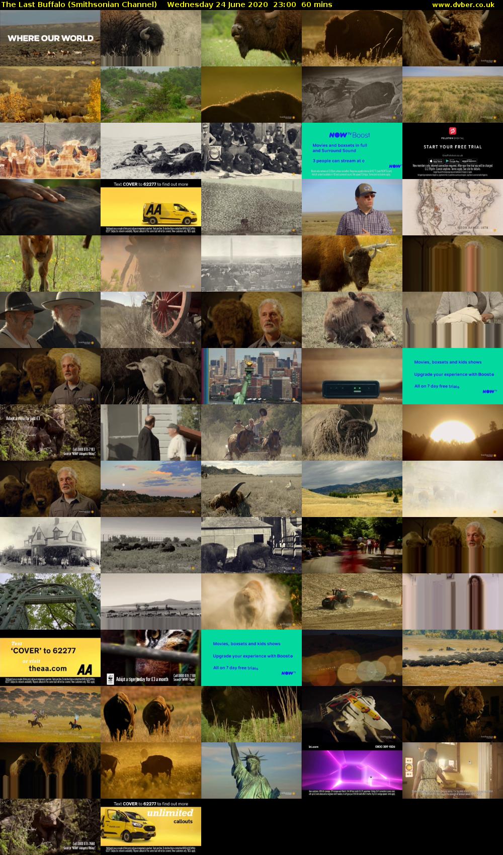 The Last Buffalo (Smithsonian Channel) Wednesday 24 June 2020 23:00 - 00:00