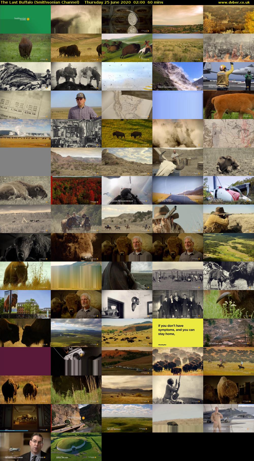 The Last Buffalo (Smithsonian Channel) Thursday 25 June 2020 02:00 - 03:00