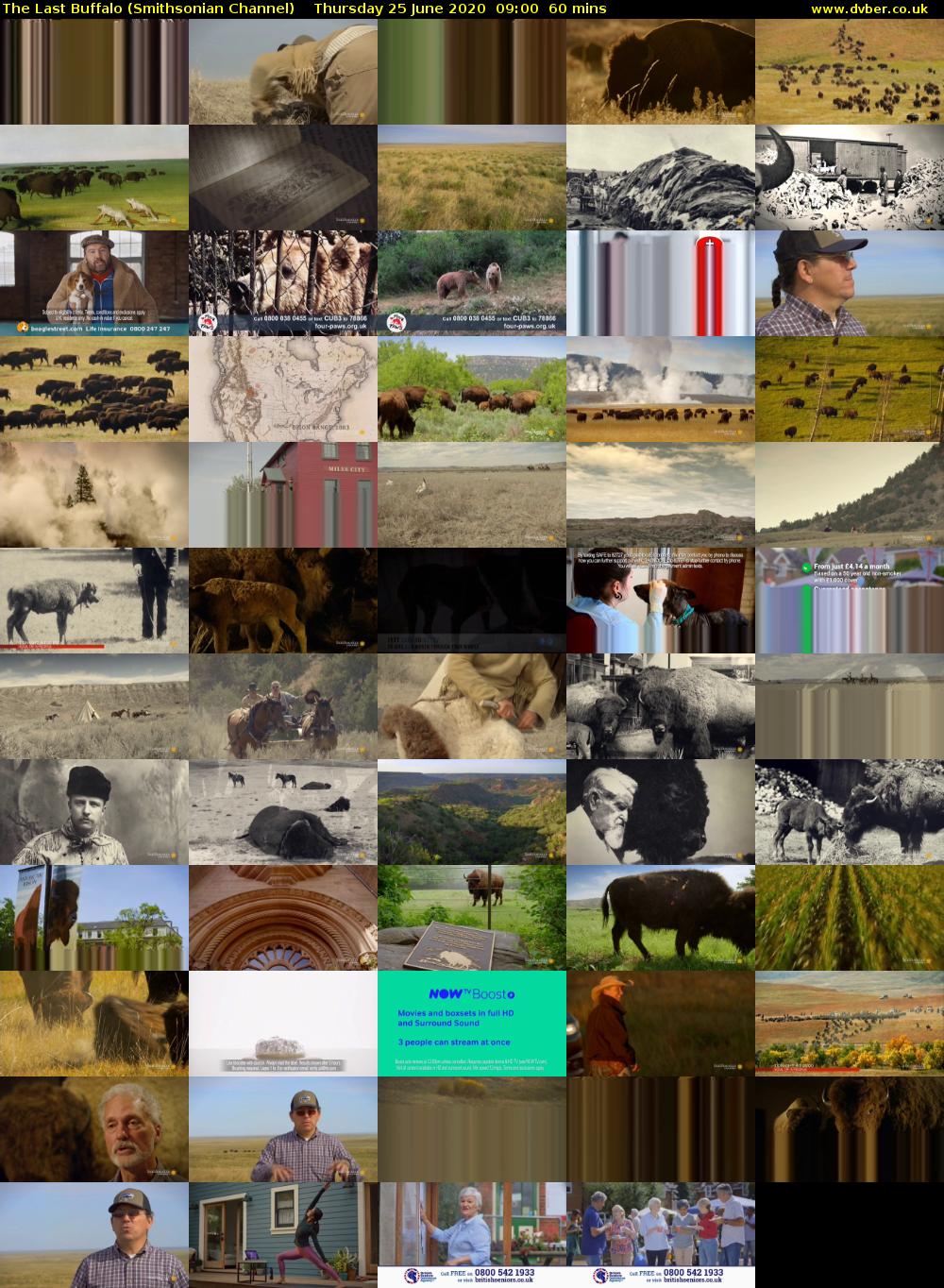 The Last Buffalo (Smithsonian Channel) Thursday 25 June 2020 09:00 - 10:00