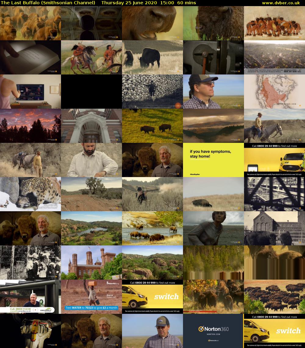 The Last Buffalo (Smithsonian Channel) Thursday 25 June 2020 15:00 - 16:00