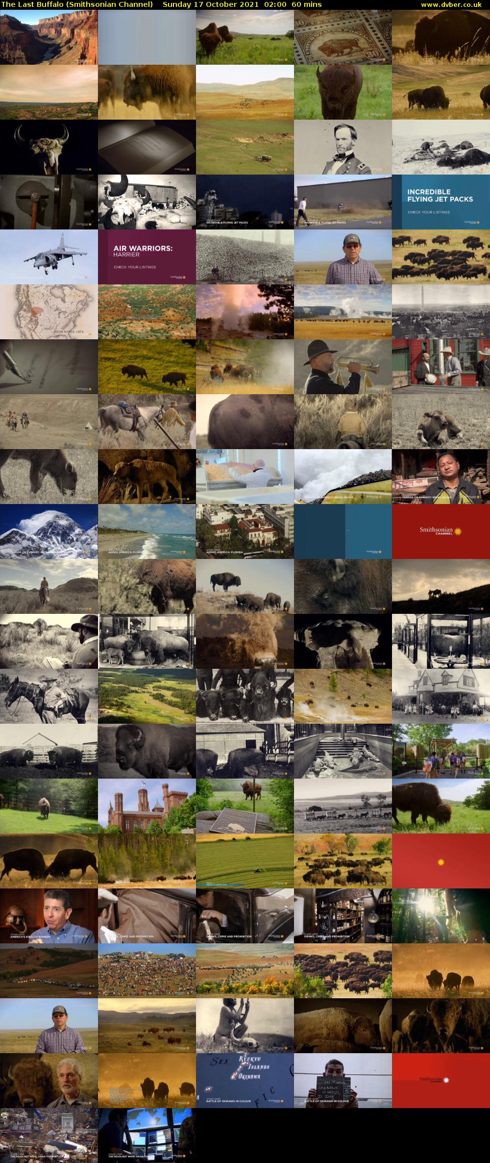 The Last Buffalo (Smithsonian Channel) Sunday 17 October 2021 02:00 - 03:00
