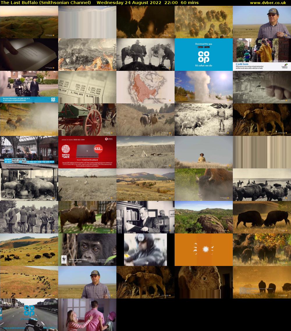 The Last Buffalo (Smithsonian Channel) Wednesday 24 August 2022 22:00 - 23:00