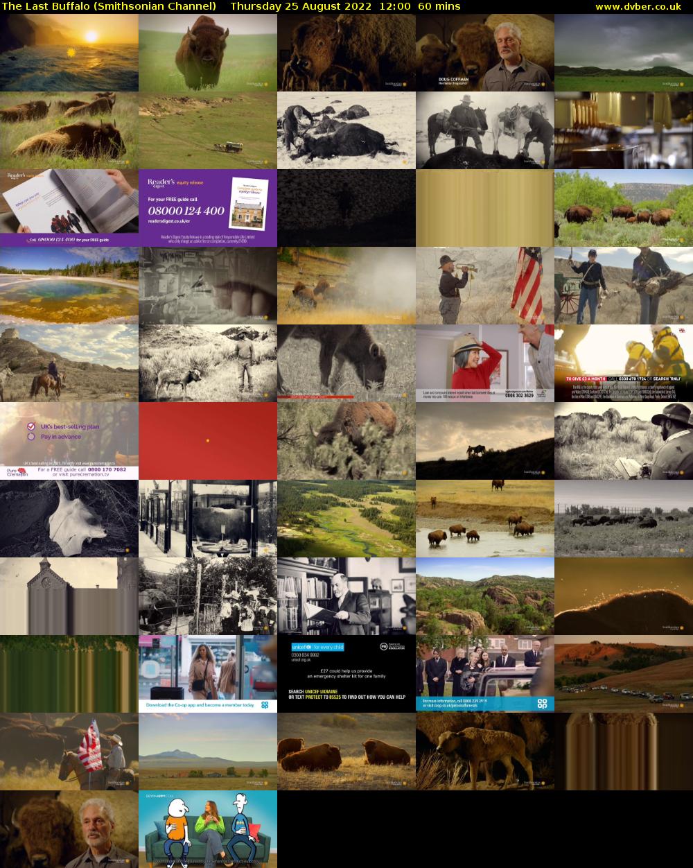 The Last Buffalo (Smithsonian Channel) Thursday 25 August 2022 12:00 - 13:00