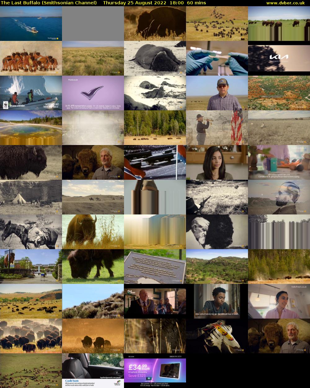 The Last Buffalo (Smithsonian Channel) Thursday 25 August 2022 18:00 - 19:00