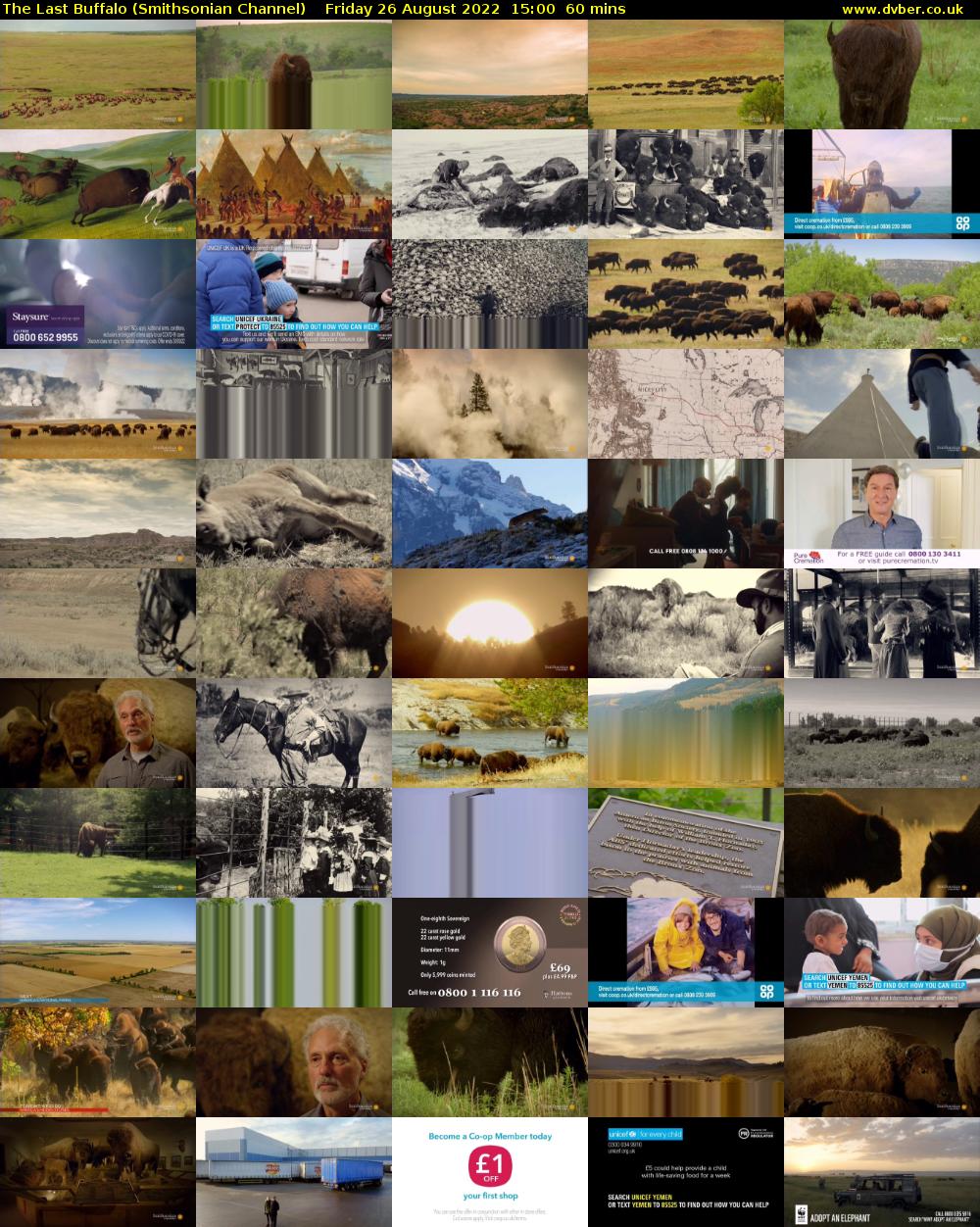 The Last Buffalo (Smithsonian Channel) Friday 26 August 2022 15:00 - 16:00