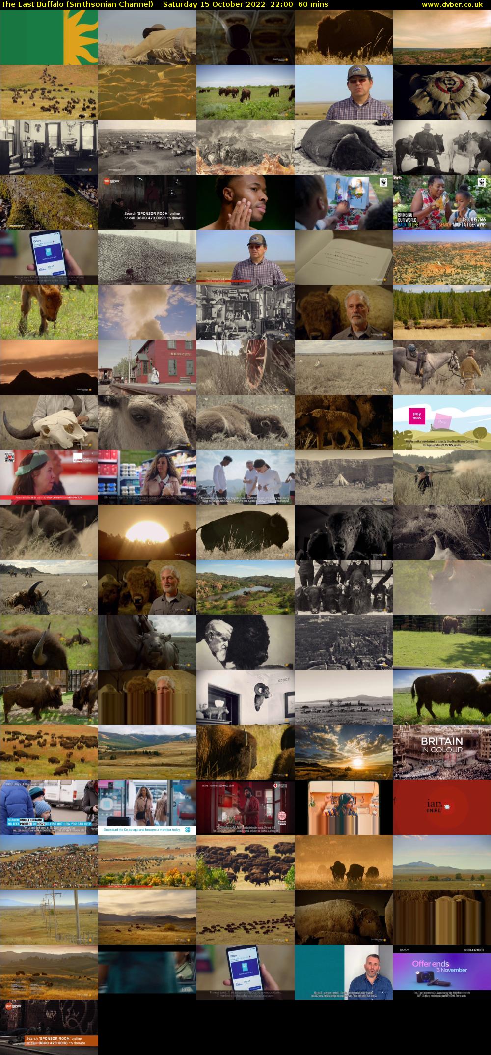 The Last Buffalo (Smithsonian Channel) Saturday 15 October 2022 22:00 - 23:00