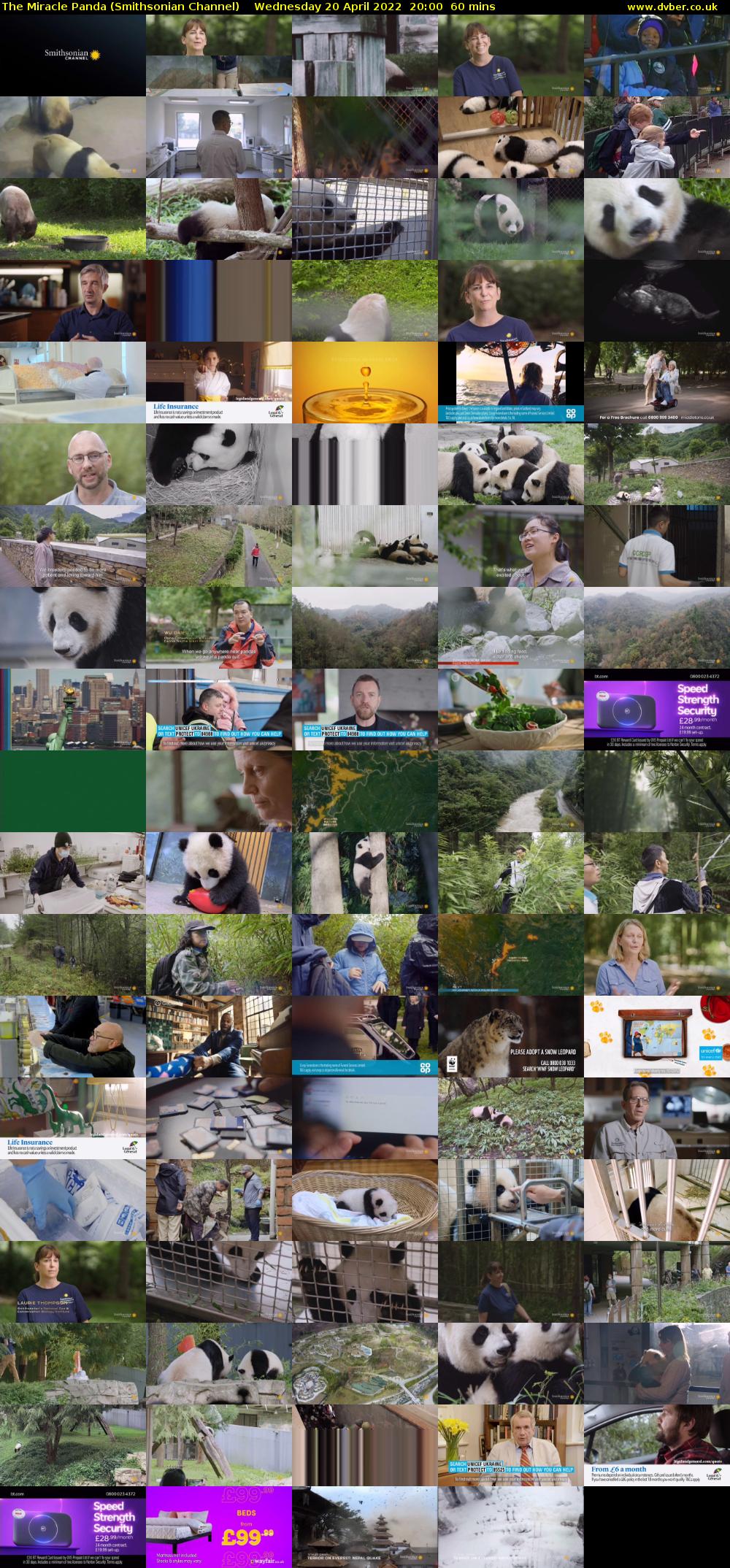 The Miracle Panda (Smithsonian Channel) Wednesday 20 April 2022 20:00 - 21:00