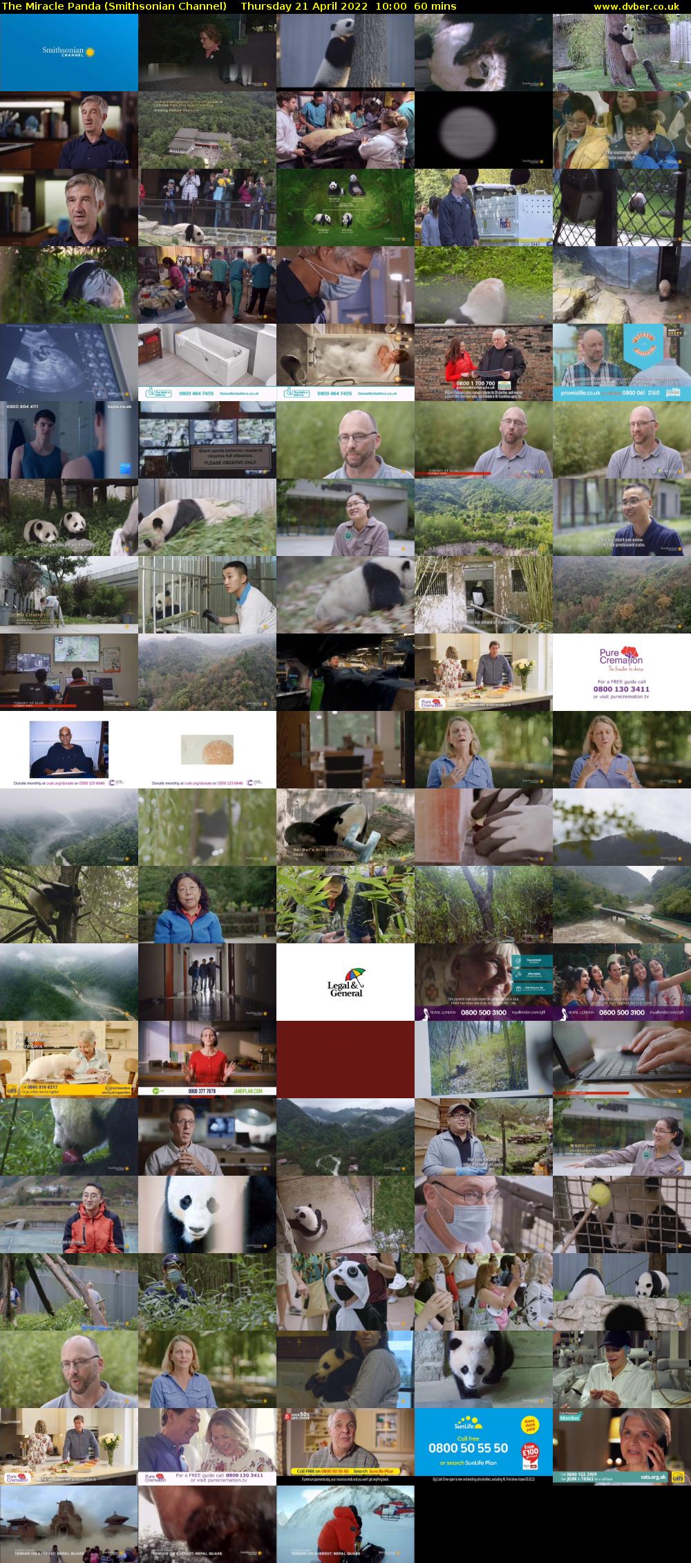 The Miracle Panda (Smithsonian Channel) Thursday 21 April 2022 10:00 - 11:00