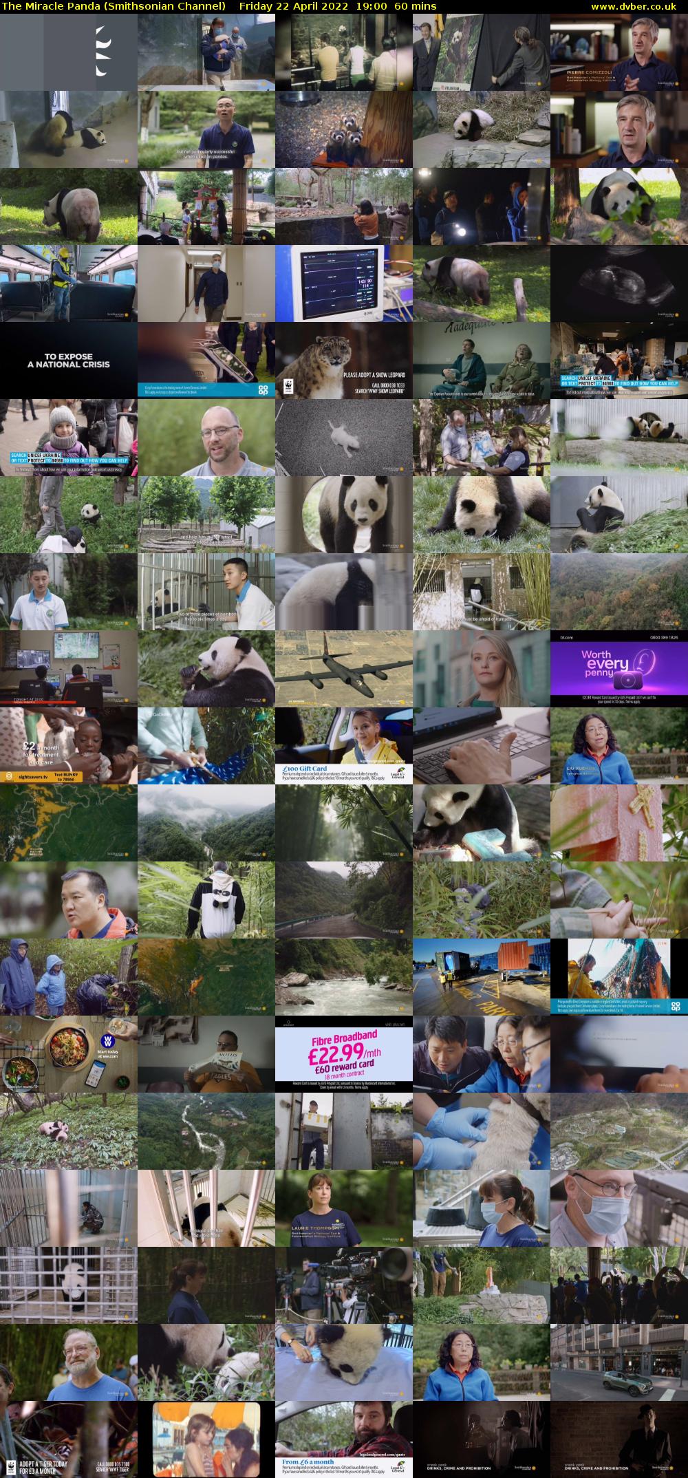 The Miracle Panda (Smithsonian Channel) Friday 22 April 2022 19:00 - 20:00
