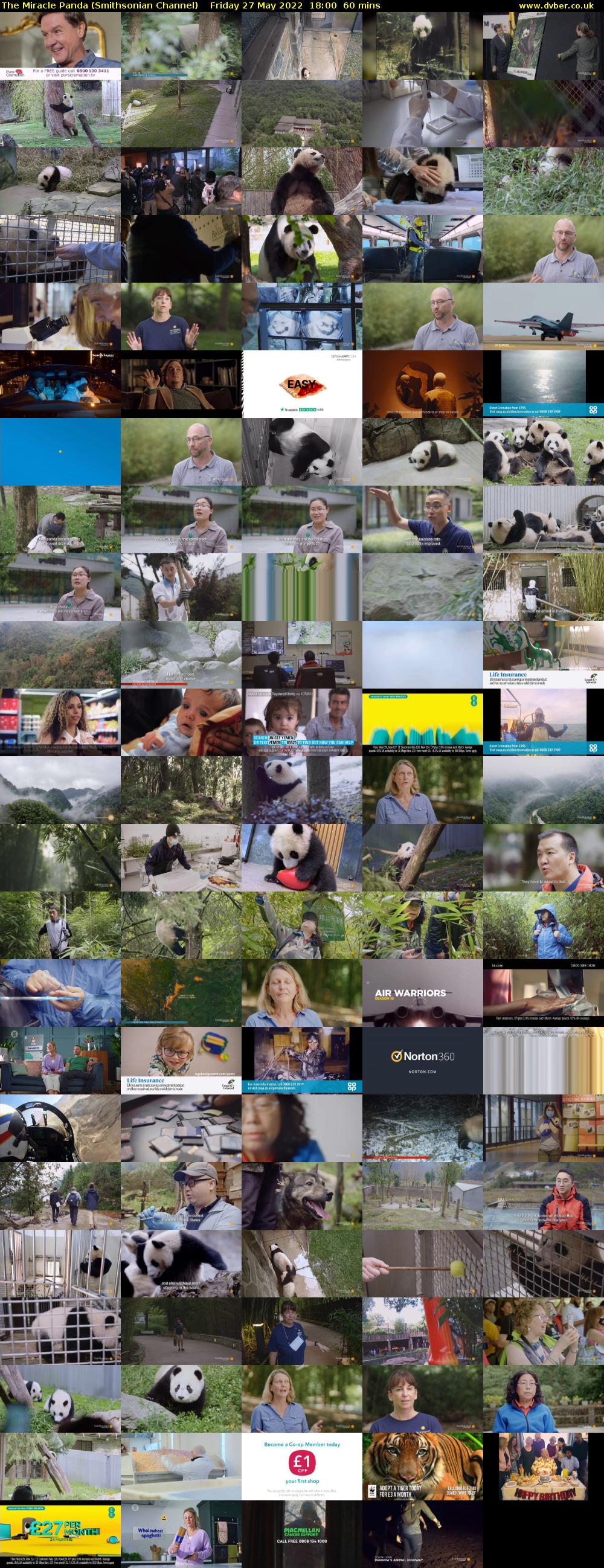 The Miracle Panda (Smithsonian Channel) Friday 27 May 2022 18:00 - 19:00