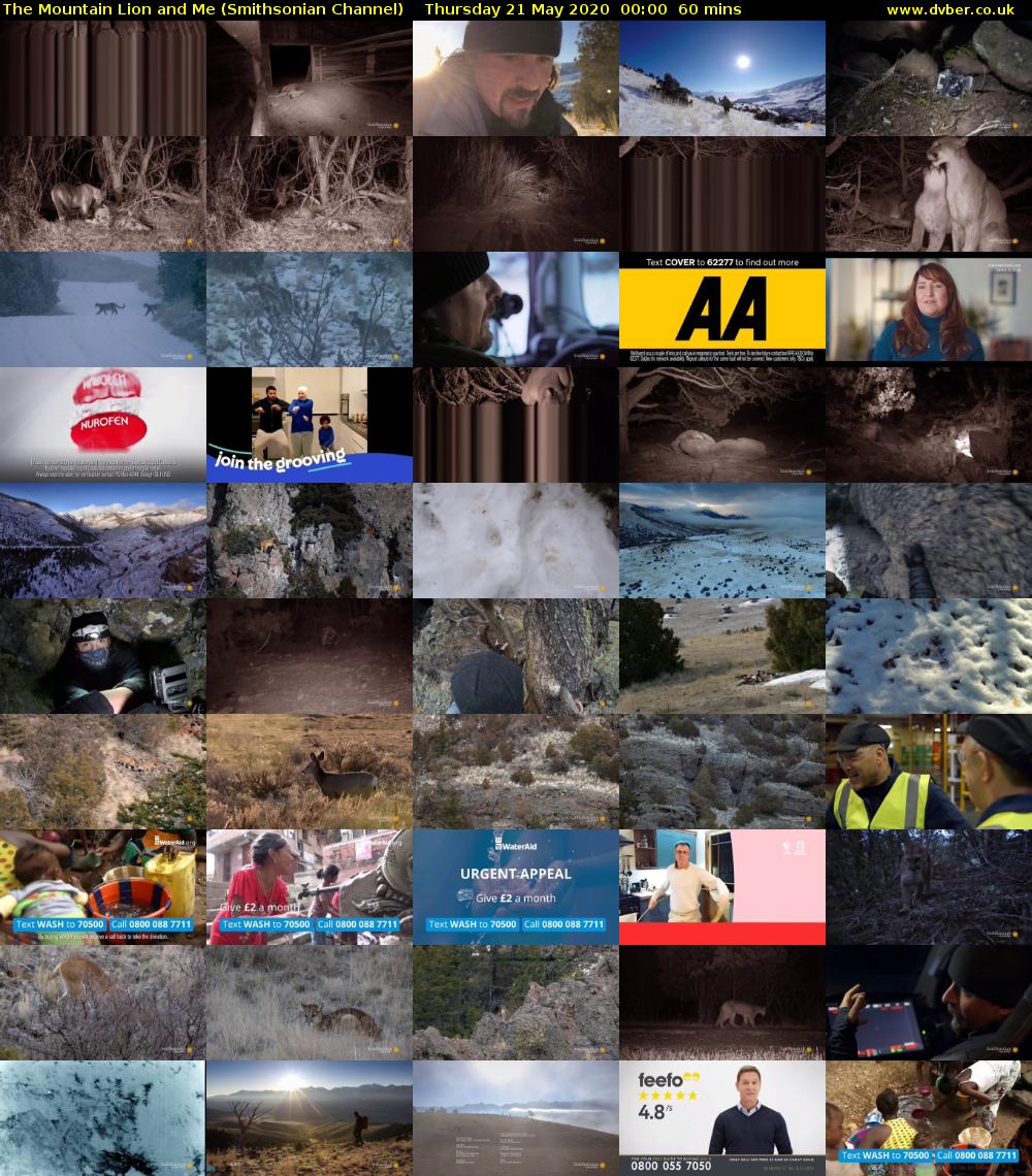 The Mountain Lion and Me (Smithsonian Channel) Thursday 21 May 2020 00:00 - 01:00
