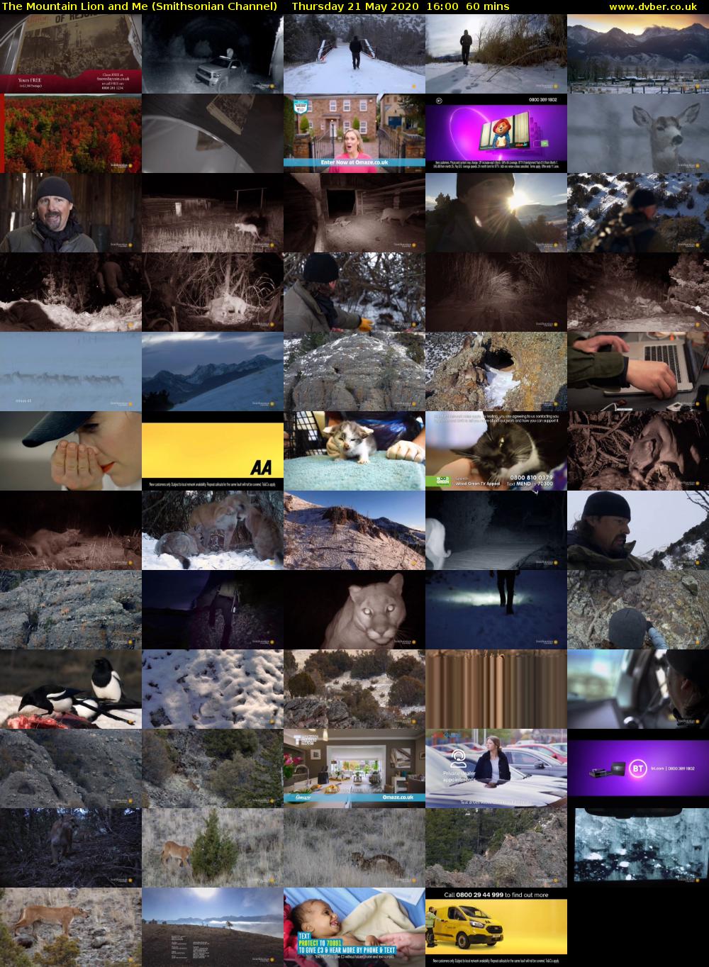 The Mountain Lion and Me (Smithsonian Channel) Thursday 21 May 2020 16:00 - 17:00
