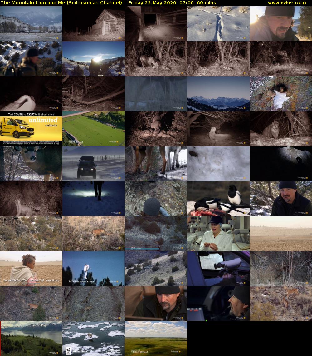 The Mountain Lion and Me (Smithsonian Channel) Friday 22 May 2020 07:00 - 08:00