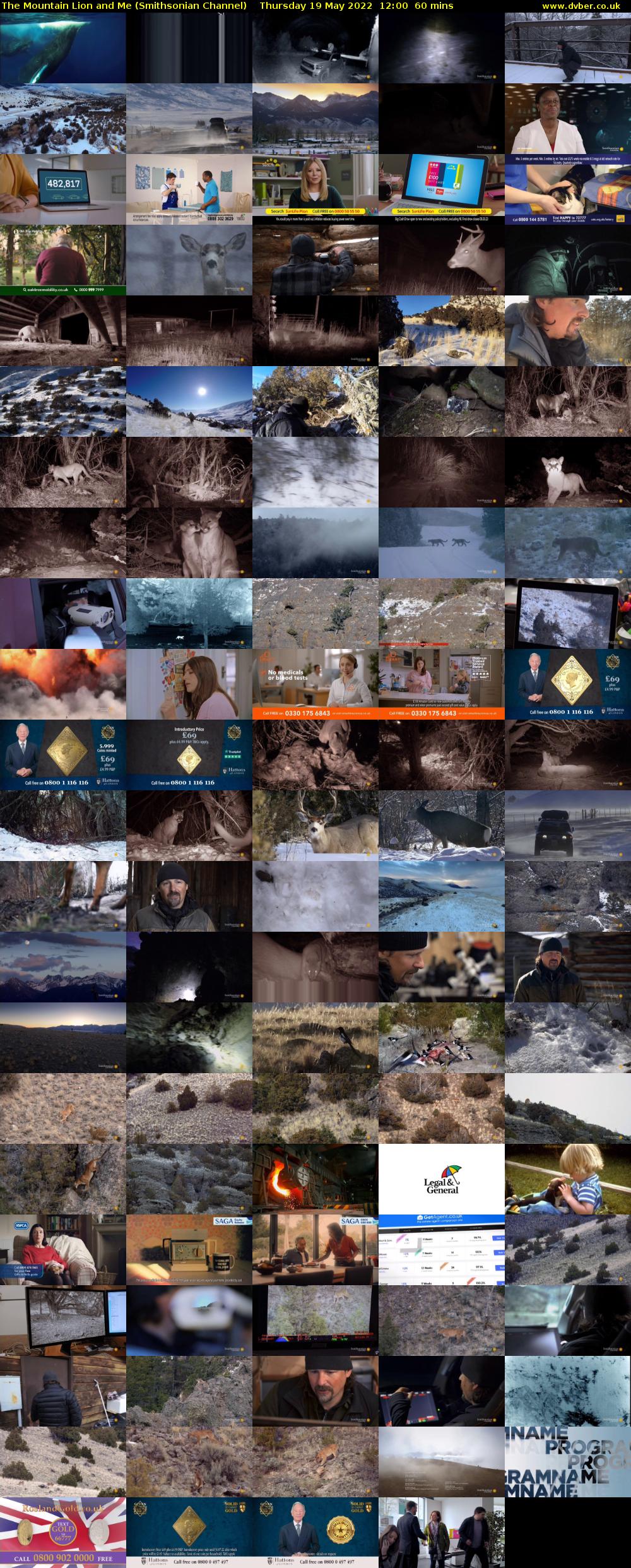 The Mountain Lion and Me (Smithsonian Channel) Thursday 19 May 2022 12:00 - 13:00