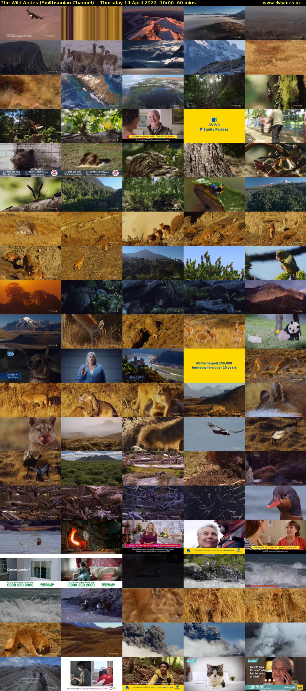 The Wild Andes (Smithsonian Channel) Thursday 14 April 2022 10:00 - 11:00