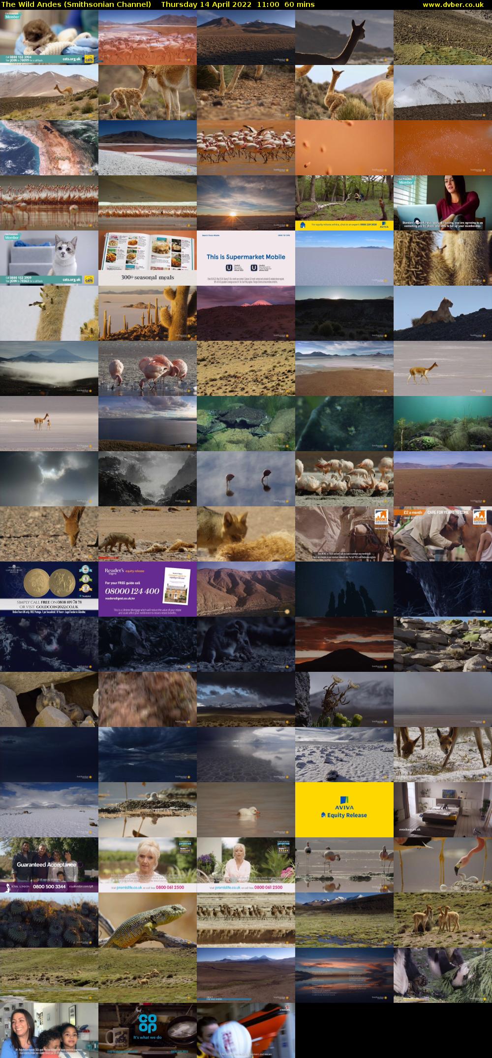 The Wild Andes (Smithsonian Channel) Thursday 14 April 2022 11:00 - 12:00