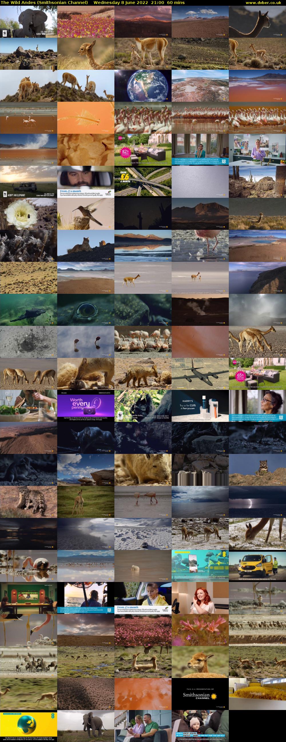 The Wild Andes (Smithsonian Channel) Wednesday 8 June 2022 21:00 - 22:00