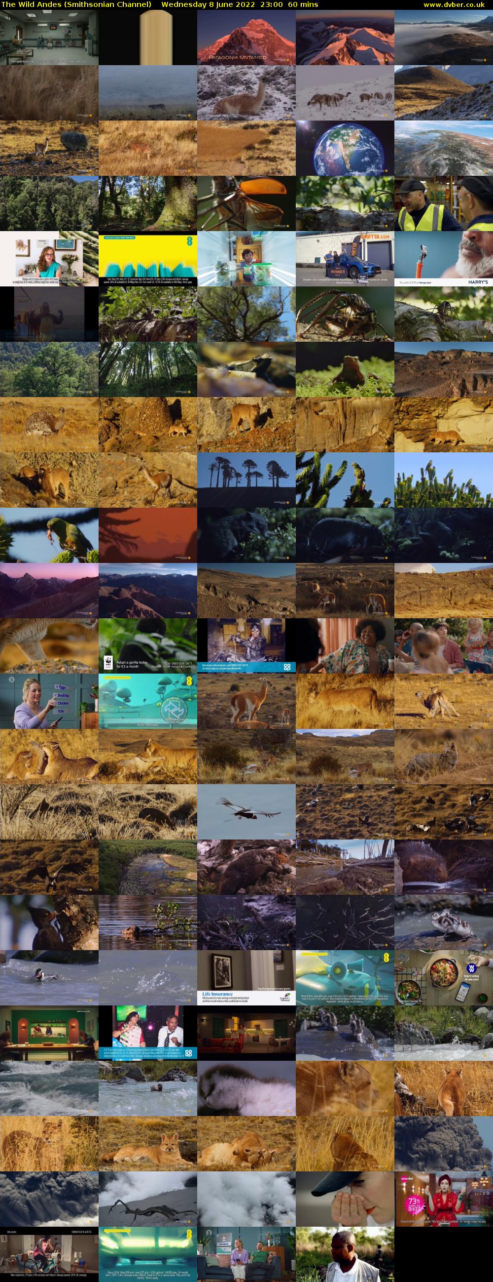 The Wild Andes (Smithsonian Channel) Wednesday 8 June 2022 23:00 - 00:00