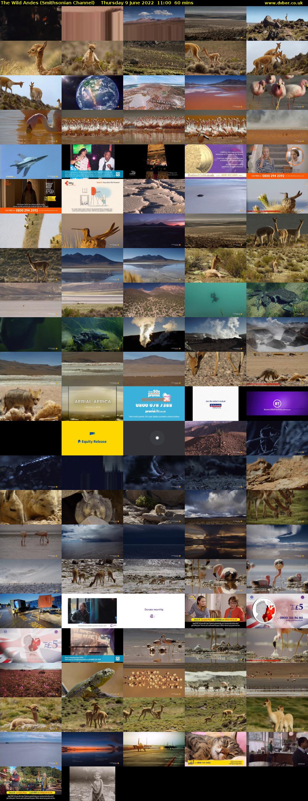 The Wild Andes (Smithsonian Channel) Thursday 9 June 2022 11:00 - 12:00