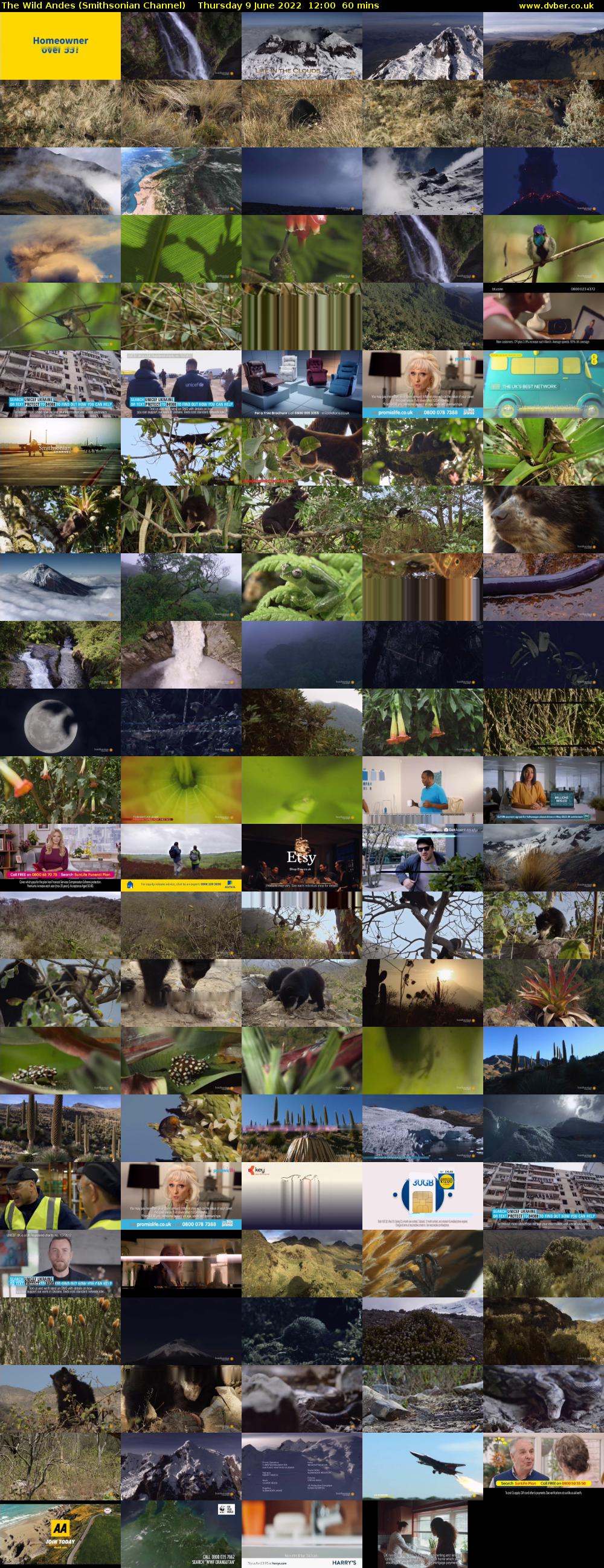 The Wild Andes (Smithsonian Channel) Thursday 9 June 2022 12:00 - 13:00