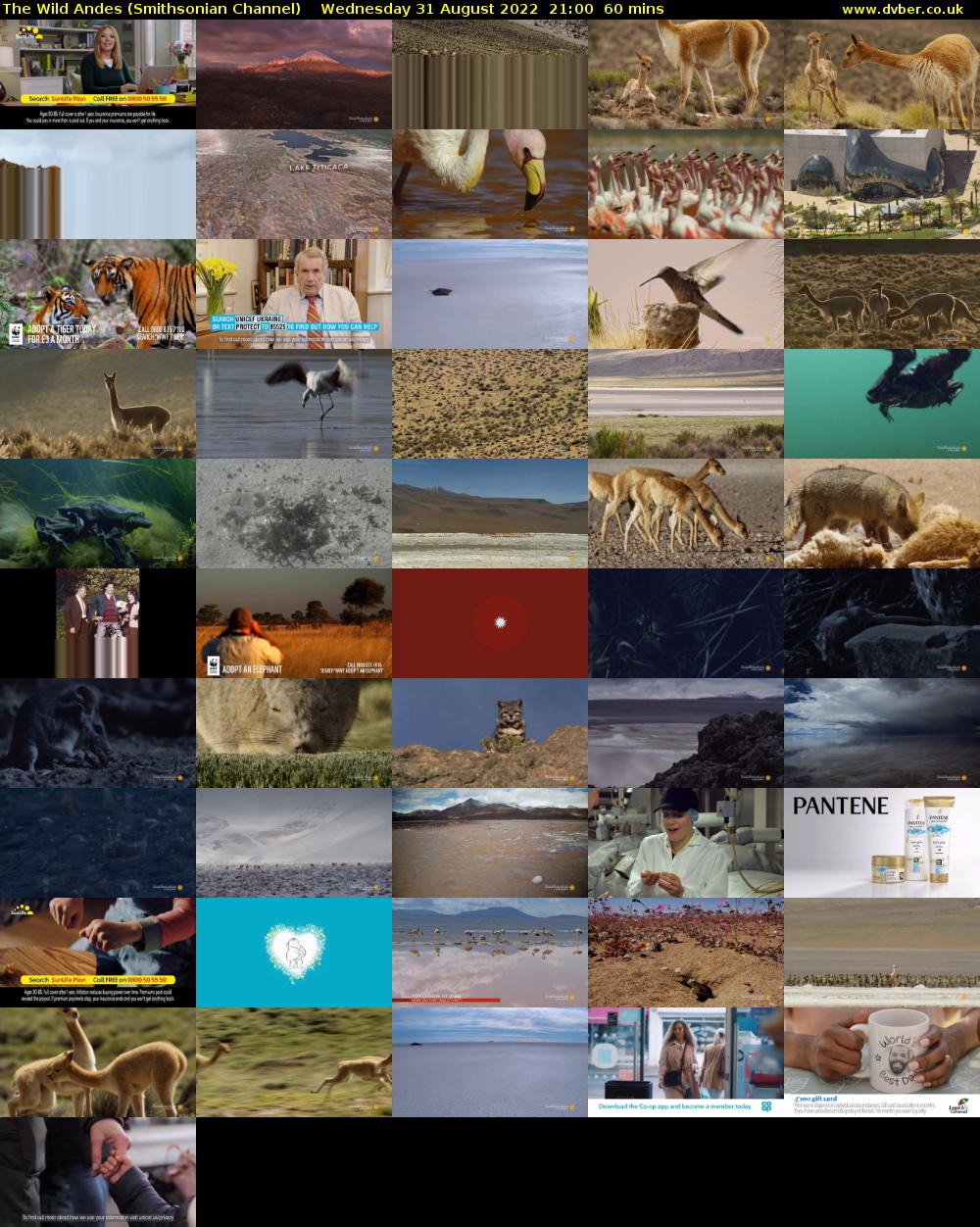 The Wild Andes (Smithsonian Channel) Wednesday 31 August 2022 21:00 - 22:00