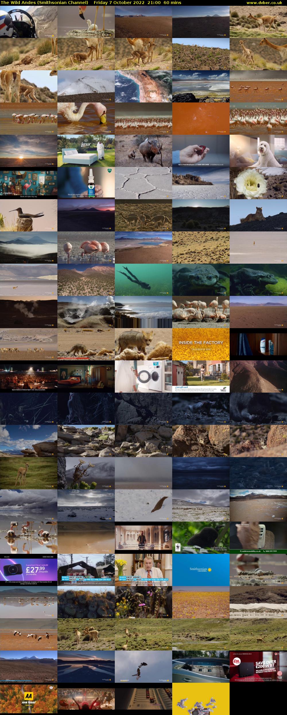 The Wild Andes (Smithsonian Channel) Friday 7 October 2022 21:00 - 22:00