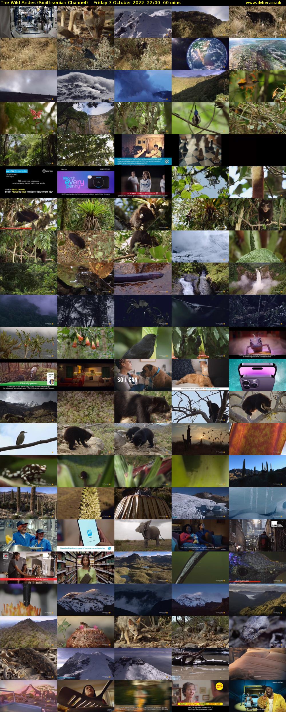 The Wild Andes (Smithsonian Channel) Friday 7 October 2022 22:00 - 23:00