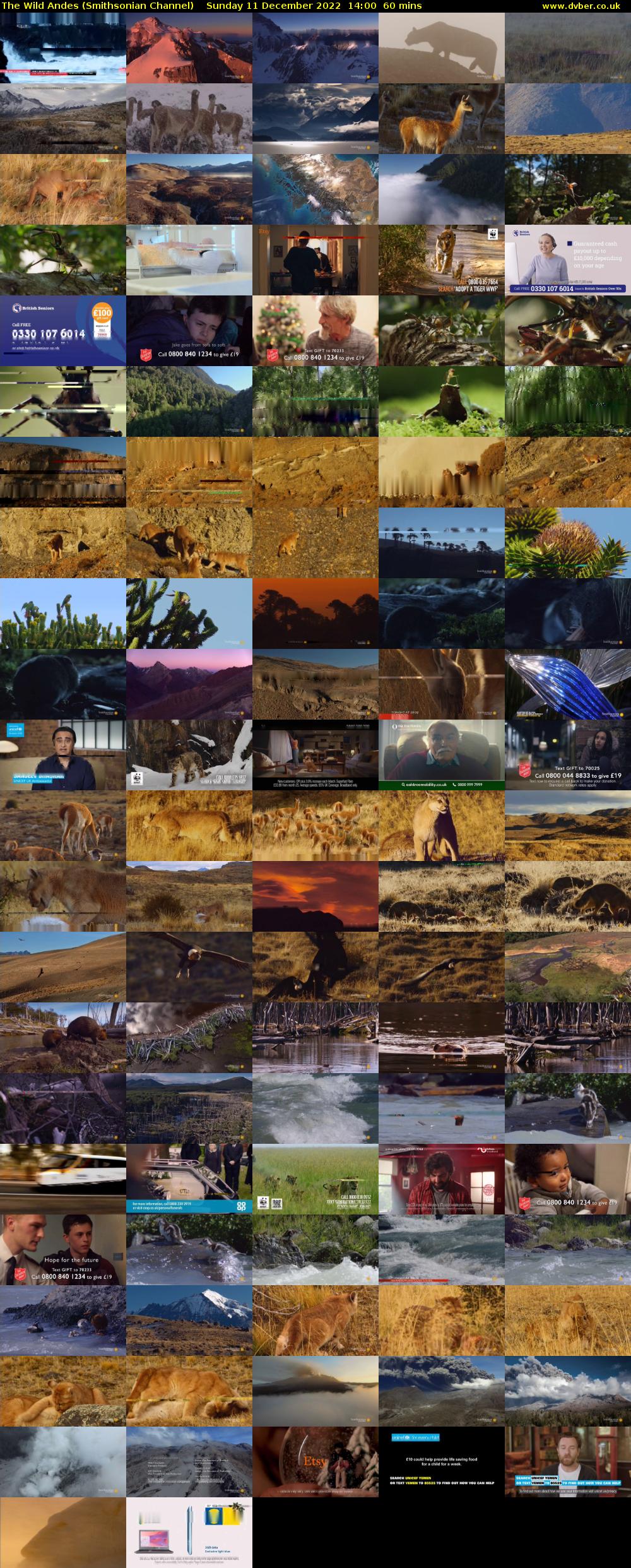 The Wild Andes (Smithsonian Channel) Sunday 11 December 2022 14:00 - 15:00