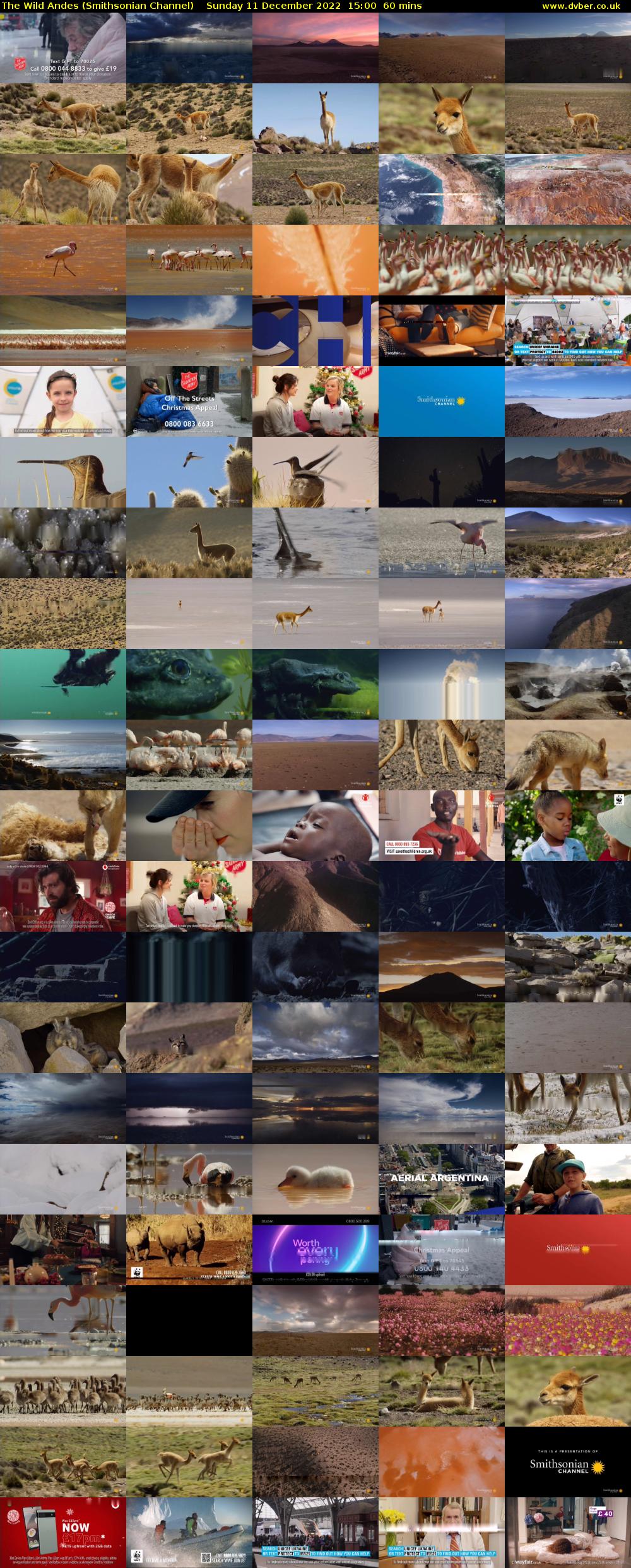 The Wild Andes (Smithsonian Channel) Sunday 11 December 2022 15:00 - 16:00