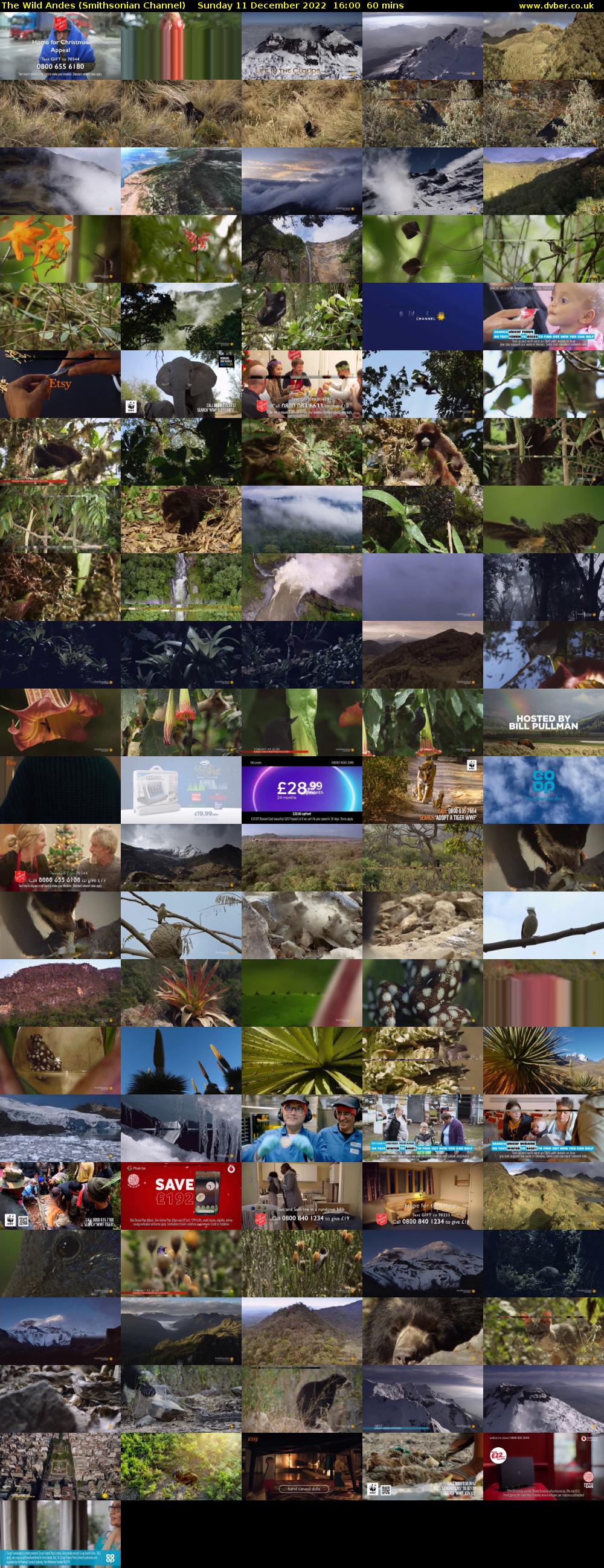 The Wild Andes (Smithsonian Channel) Sunday 11 December 2022 16:00 - 17:00
