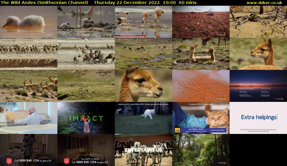 The Wild Andes (Smithsonian Channel) Thursday 22 December 2022 10:00 - 11:00
