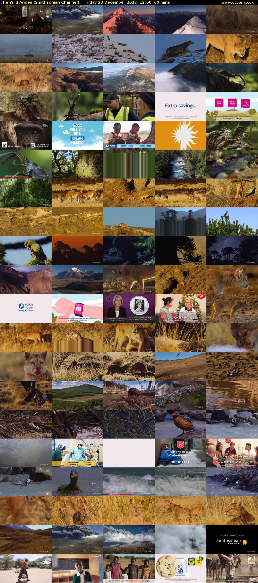 The Wild Andes (Smithsonian Channel) Friday 23 December 2022 12:00 - 13:00