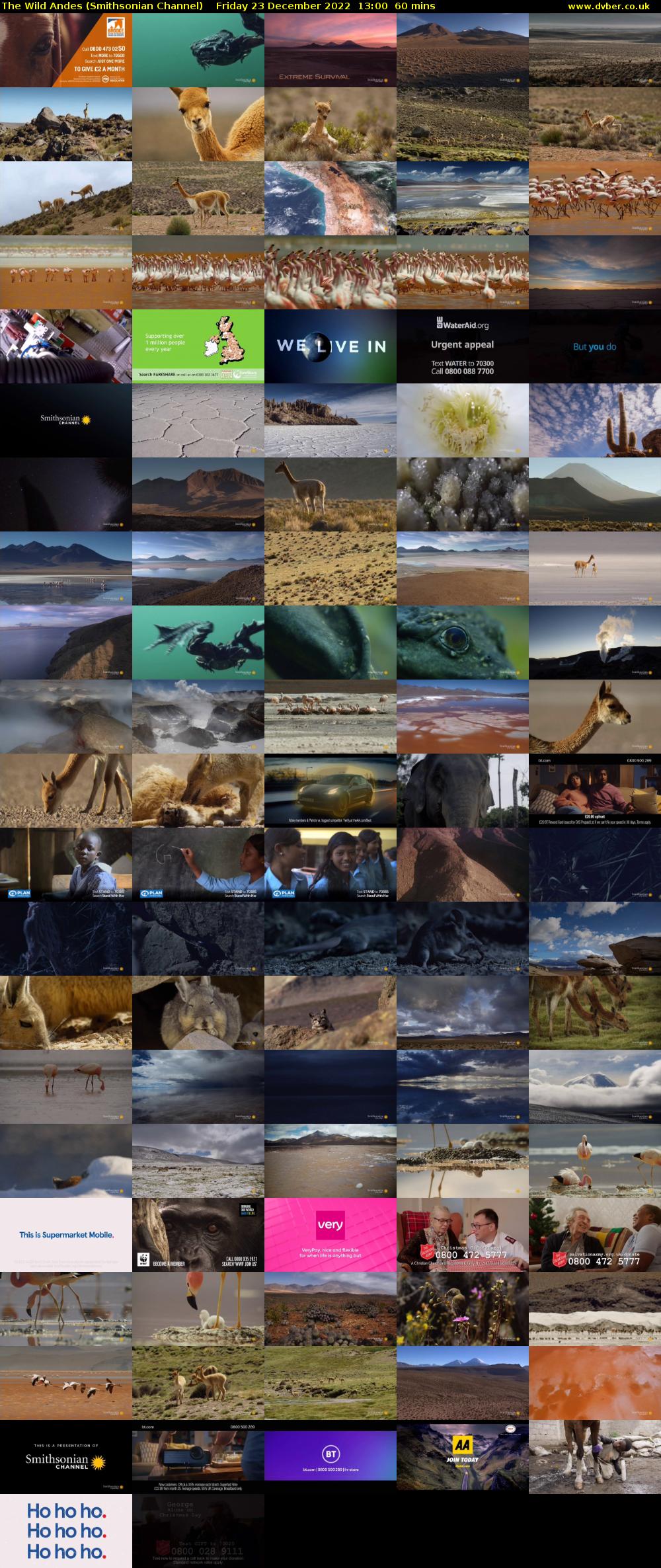 The Wild Andes (Smithsonian Channel) Friday 23 December 2022 13:00 - 14:00