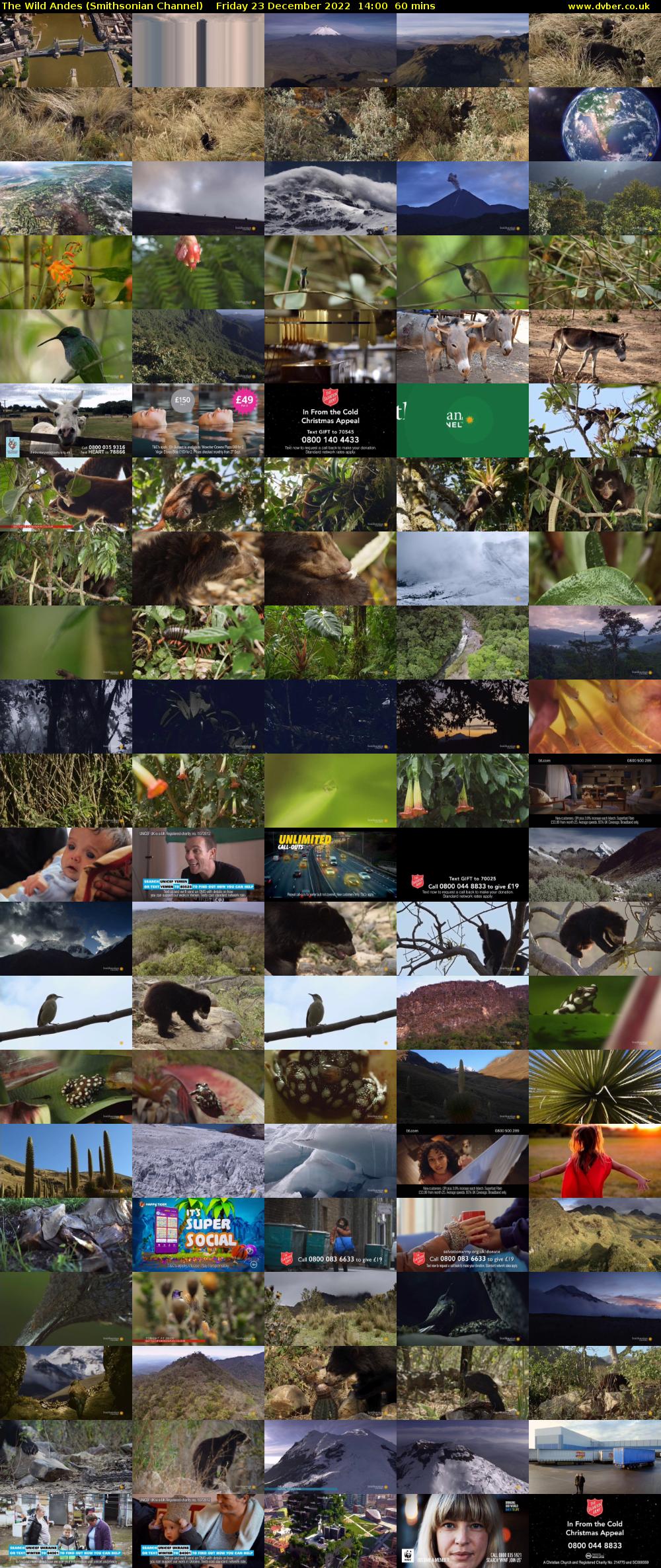 The Wild Andes (Smithsonian Channel) Friday 23 December 2022 14:00 - 15:00