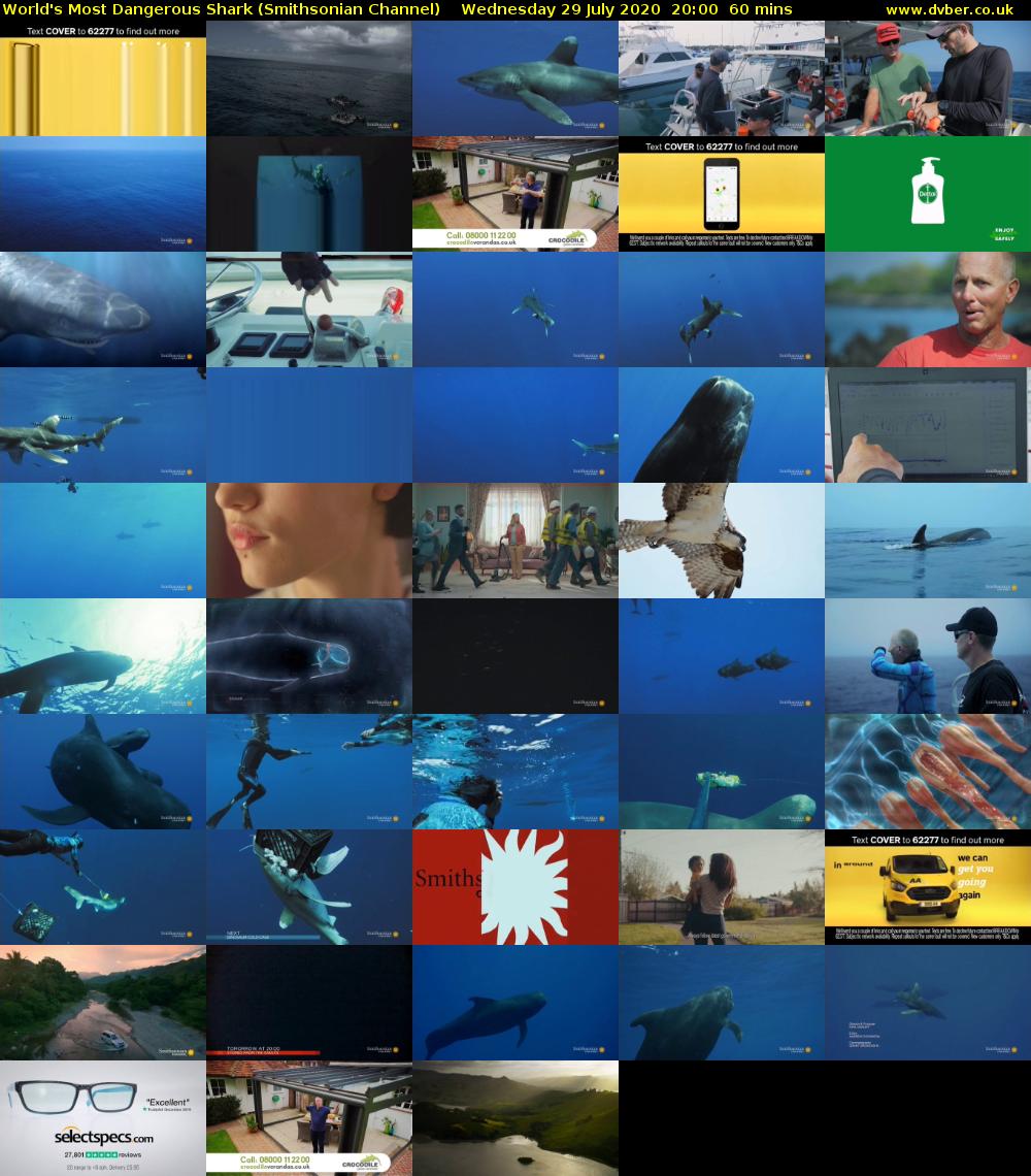World's Most Dangerous Shark (Smithsonian Channel) Wednesday 29 July 2020 20:00 - 21:00