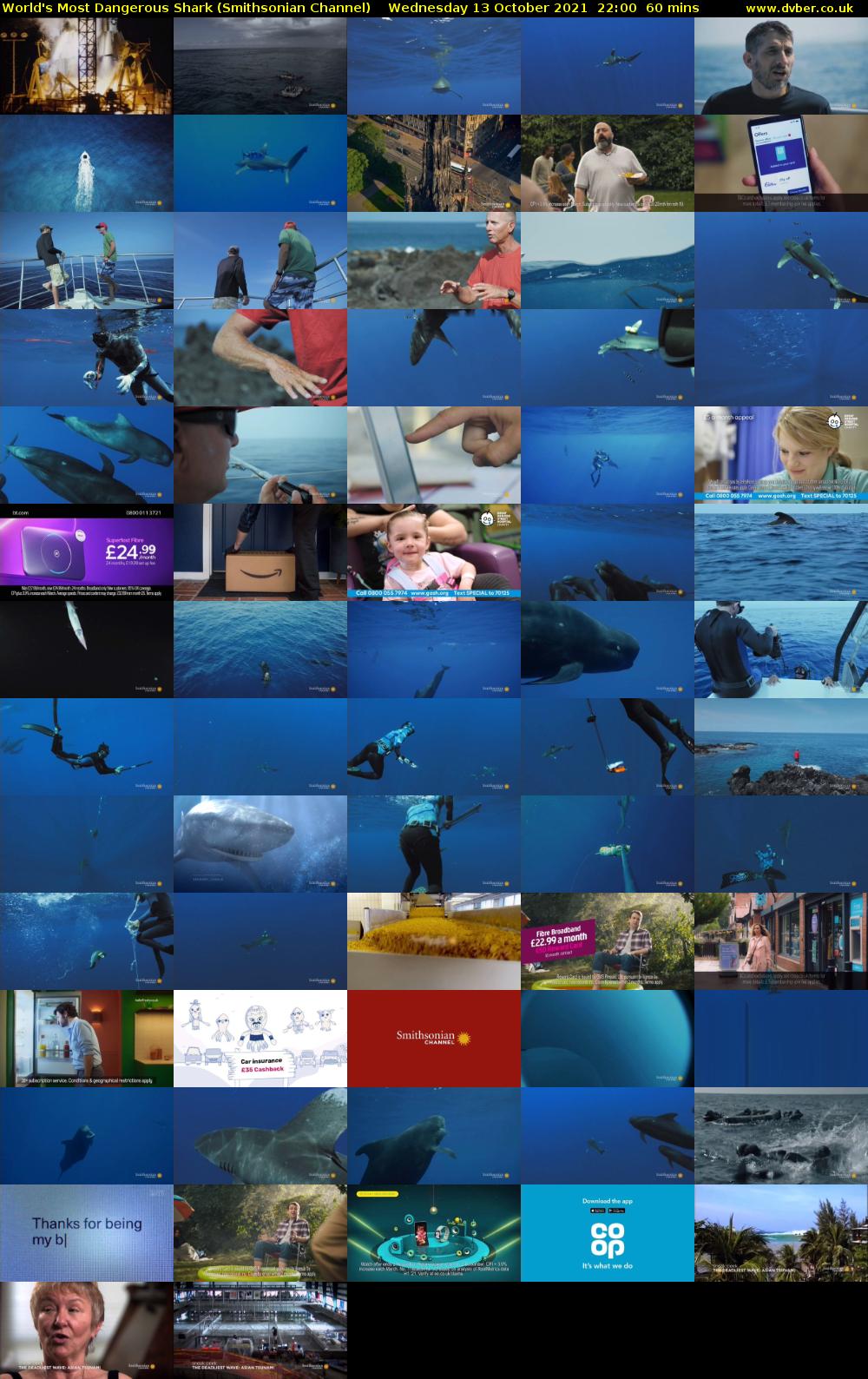 World's Most Dangerous Shark (Smithsonian Channel) Wednesday 13 October 2021 22:00 - 23:00