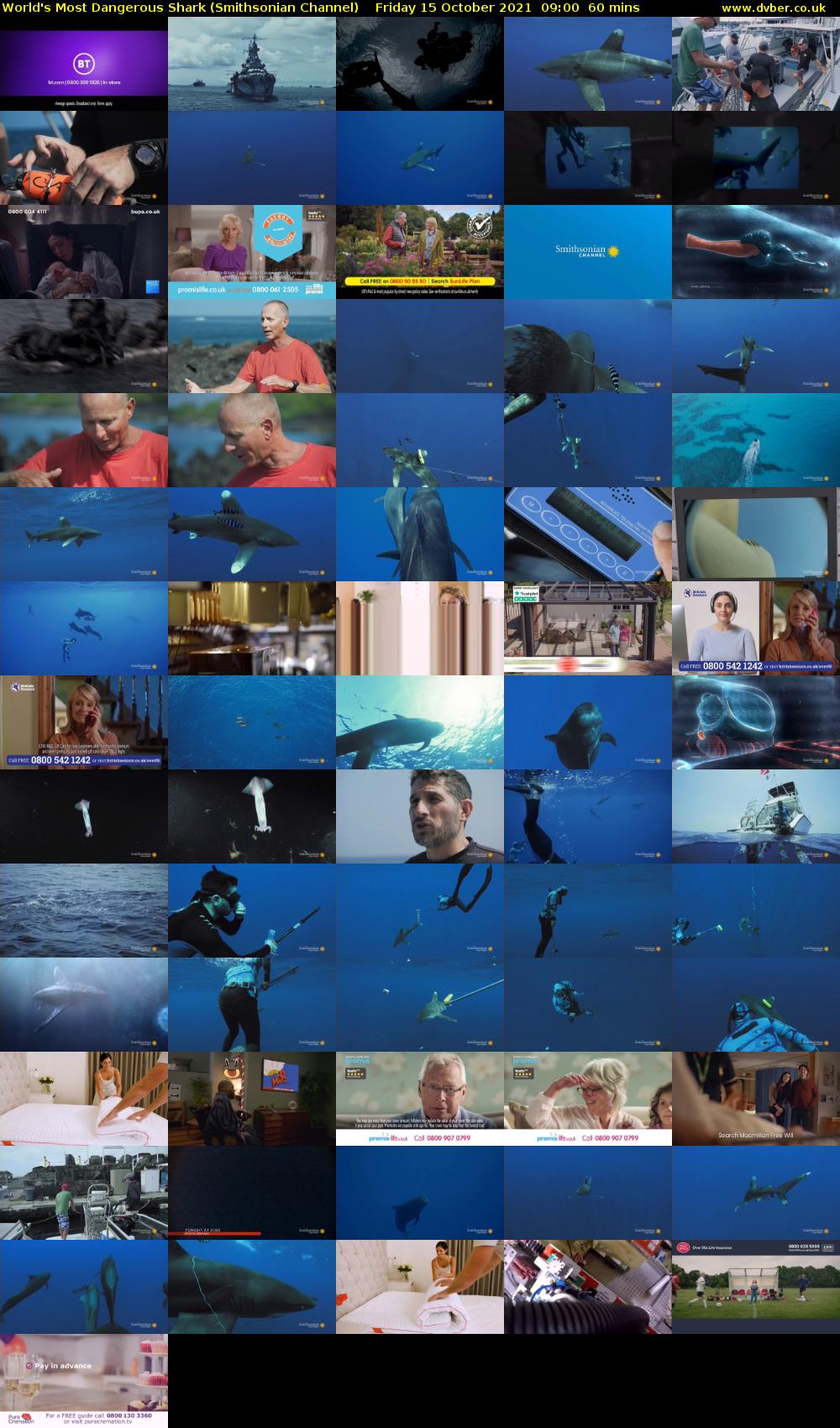 World's Most Dangerous Shark (Smithsonian Channel) Friday 15 October 2021 09:00 - 10:00