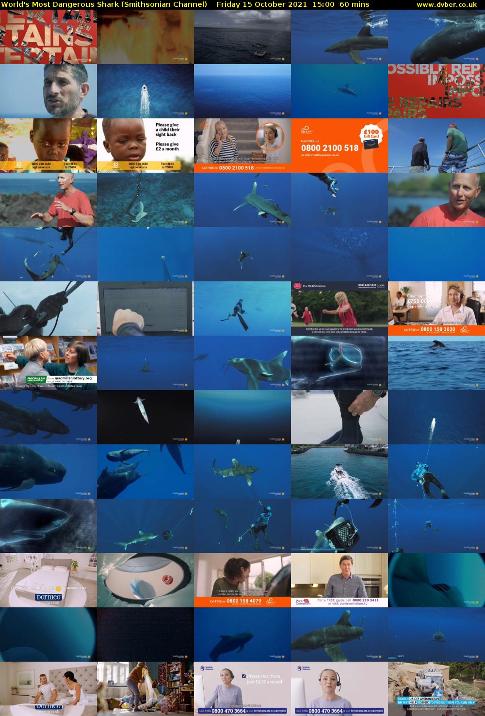 World's Most Dangerous Shark (Smithsonian Channel) Friday 15 October 2021 15:00 - 16:00