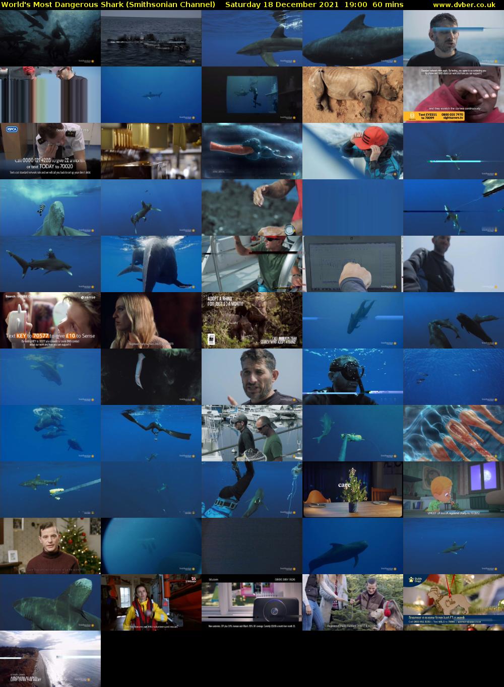 World's Most Dangerous Shark (Smithsonian Channel) Saturday 18 December 2021 19:00 - 20:00
