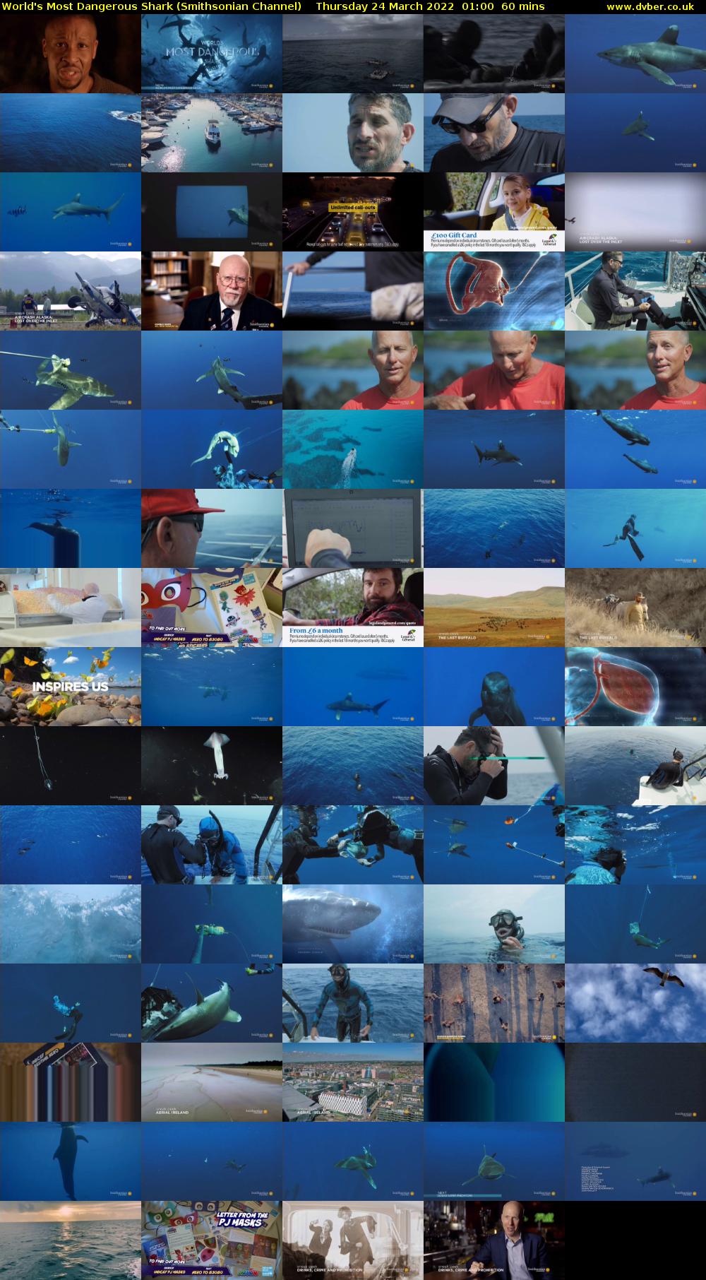 World's Most Dangerous Shark (Smithsonian Channel) Thursday 24 March 2022 01:00 - 02:00