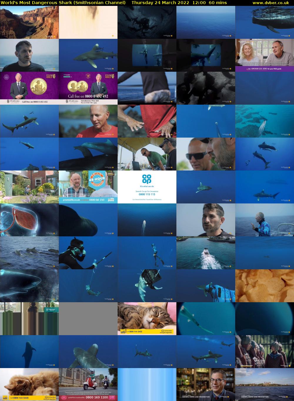 World's Most Dangerous Shark (Smithsonian Channel) Thursday 24 March 2022 12:00 - 13:00