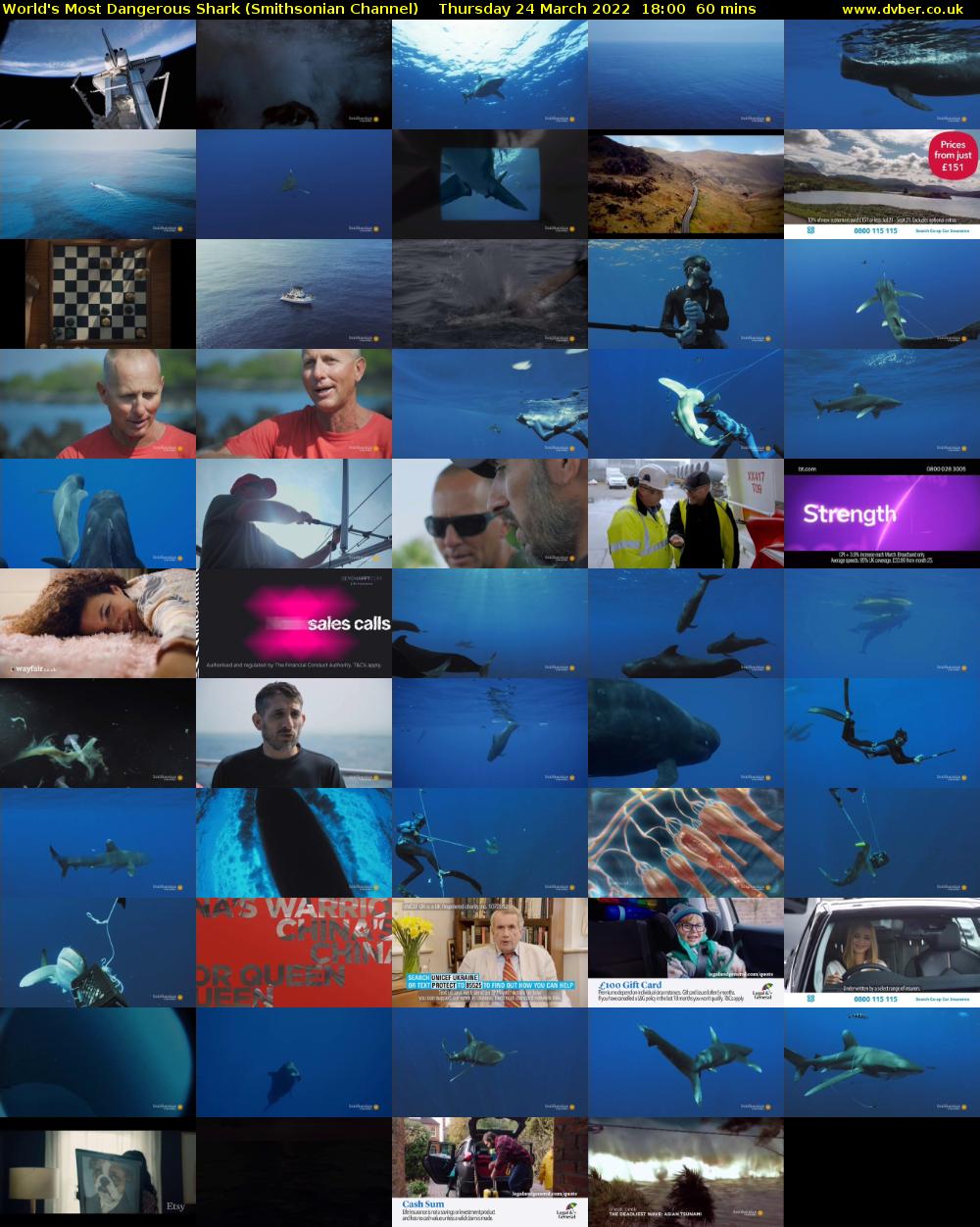 World's Most Dangerous Shark (Smithsonian Channel) Thursday 24 March 2022 18:00 - 19:00