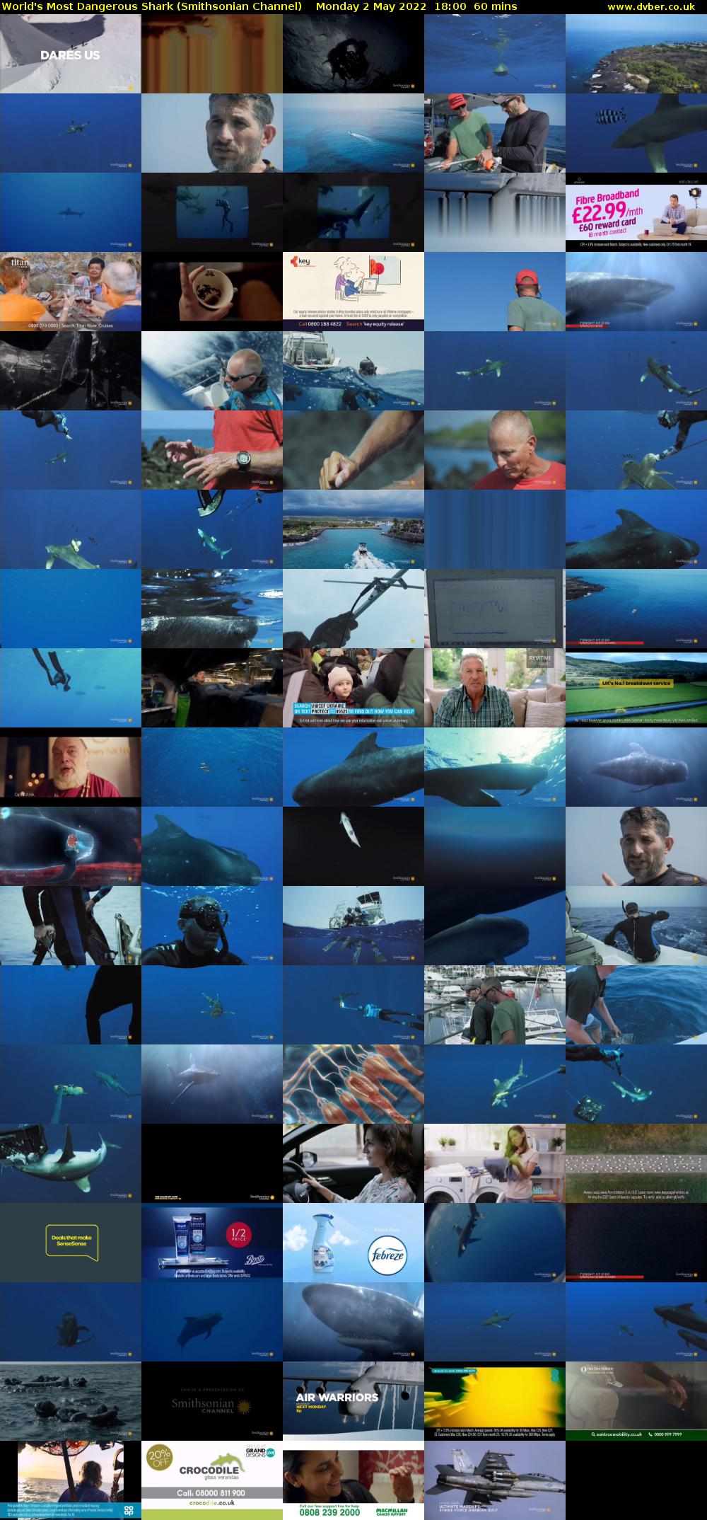 World's Most Dangerous Shark (Smithsonian Channel) Monday 2 May 2022 18:00 - 19:00