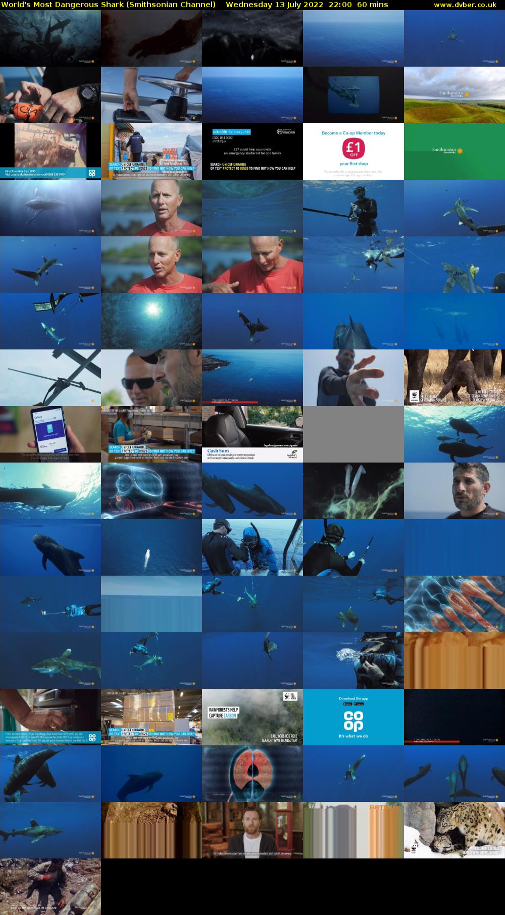 World's Most Dangerous Shark (Smithsonian Channel) Wednesday 13 July 2022 22:00 - 23:00