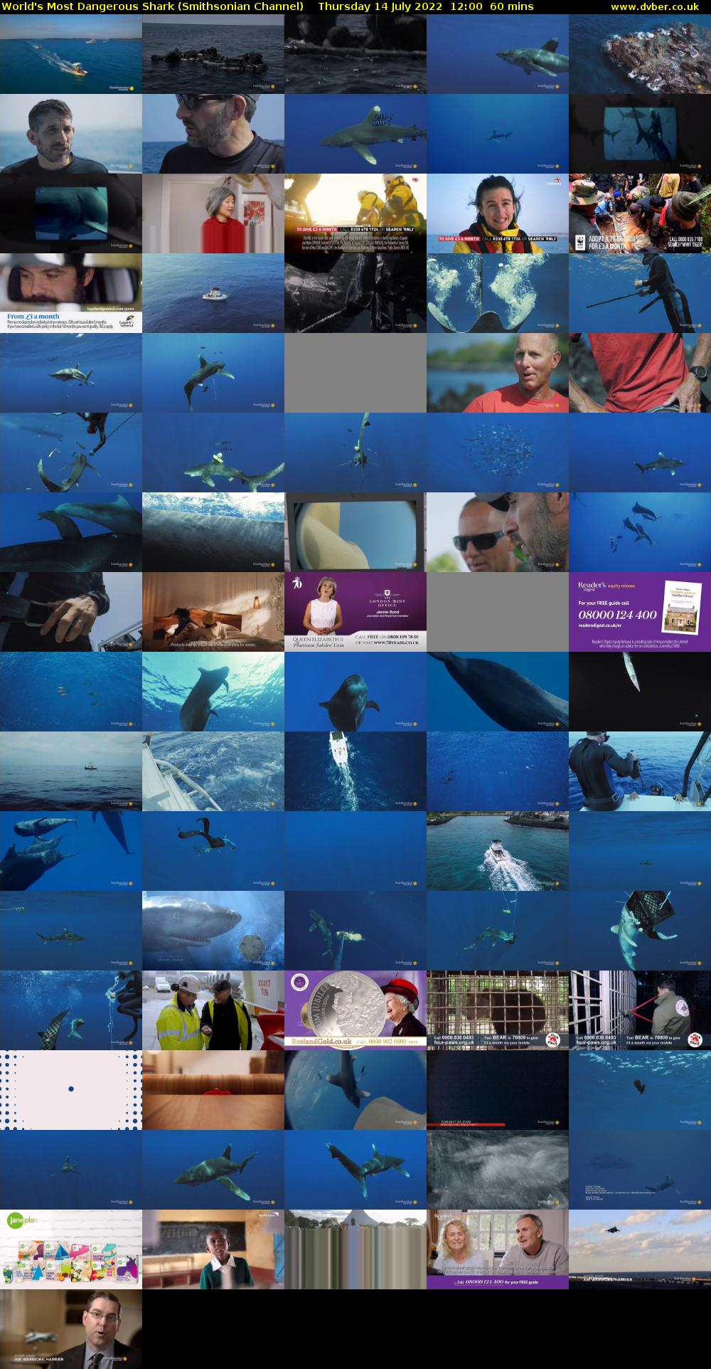 World's Most Dangerous Shark (Smithsonian Channel) Thursday 14 July 2022 12:00 - 13:00