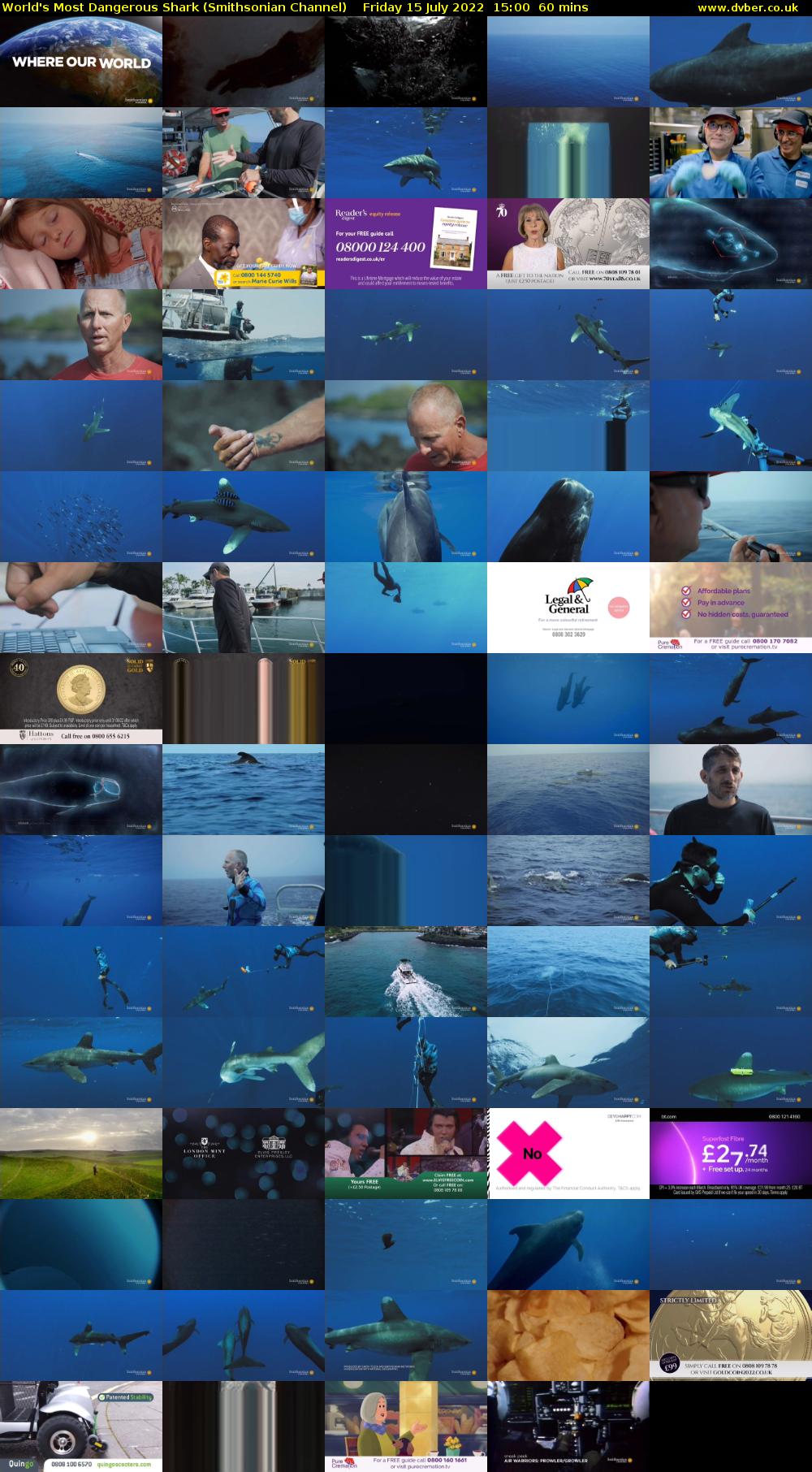 World's Most Dangerous Shark (Smithsonian Channel) Friday 15 July 2022 15:00 - 16:00