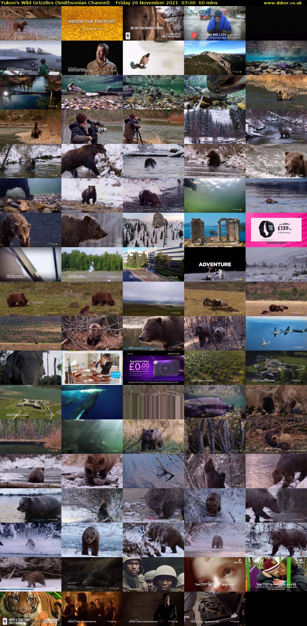 Yukon's Wild Grizzlies (Smithsonian Channel) Friday 26 November 2021 07:00 - 08:00
