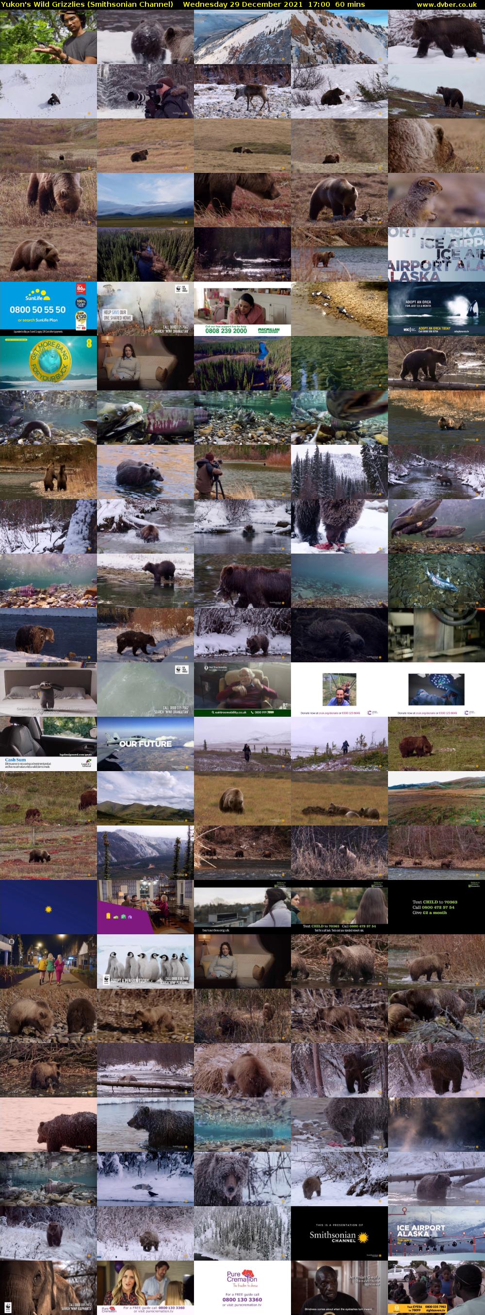 Yukon's Wild Grizzlies (Smithsonian Channel) Wednesday 29 December 2021 17:00 - 18:00